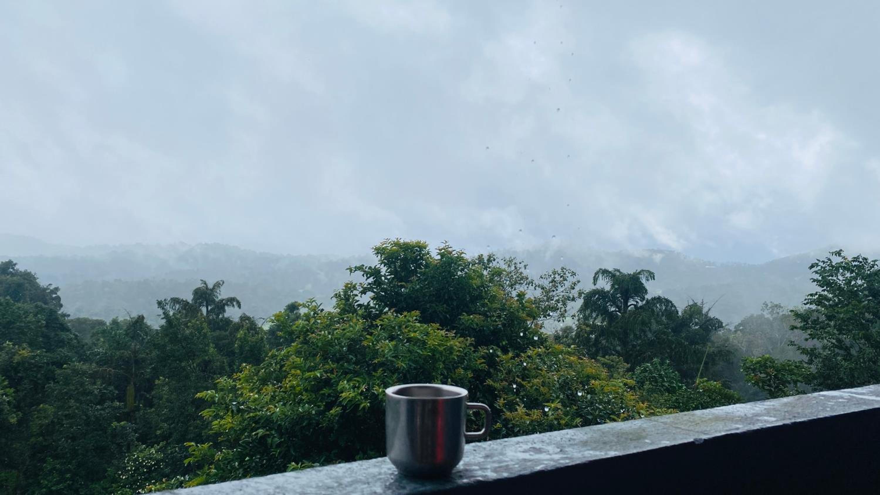 Mountain View Villas of Coorg view 2