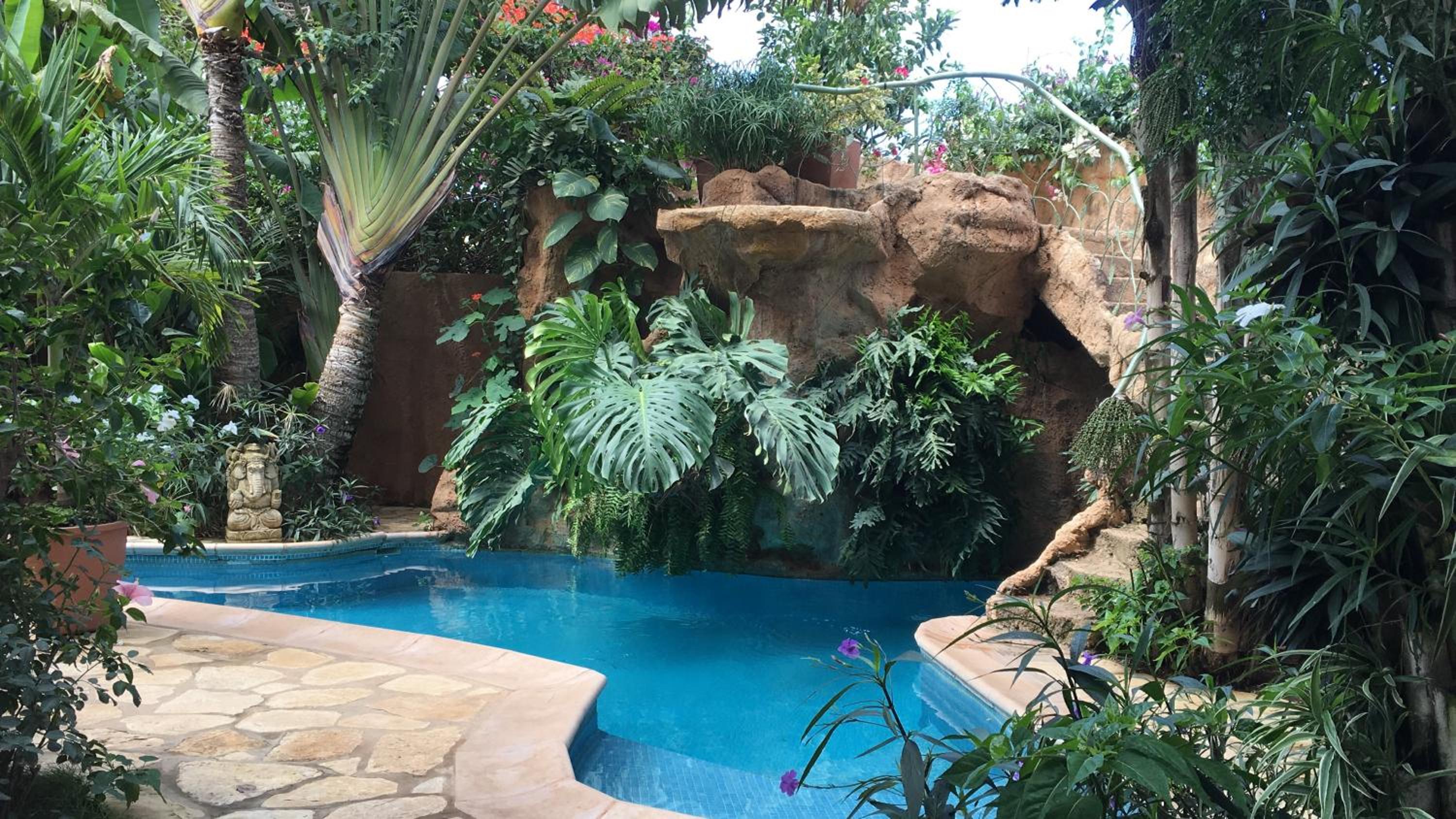 tropical oasis