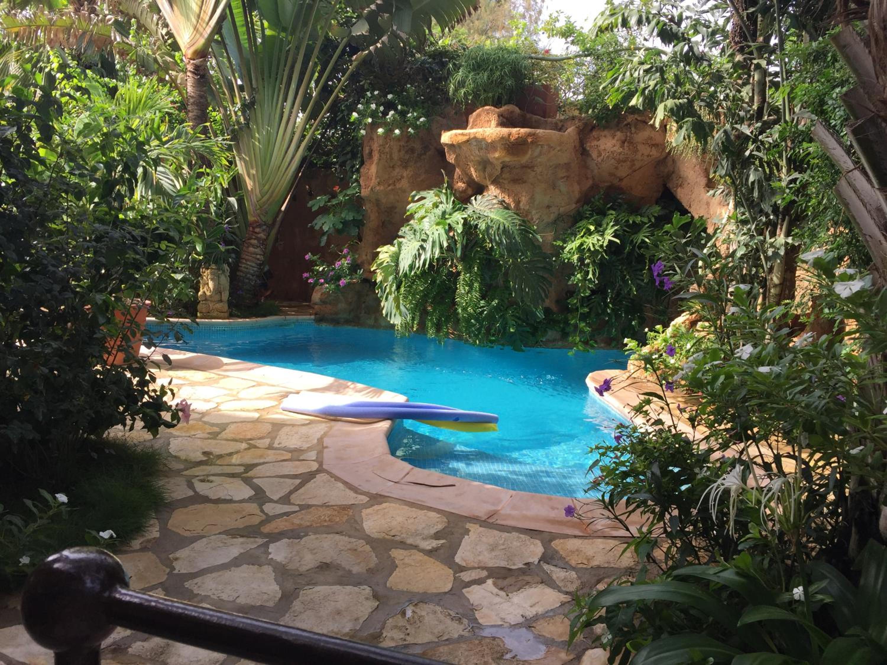 tropical oasis
