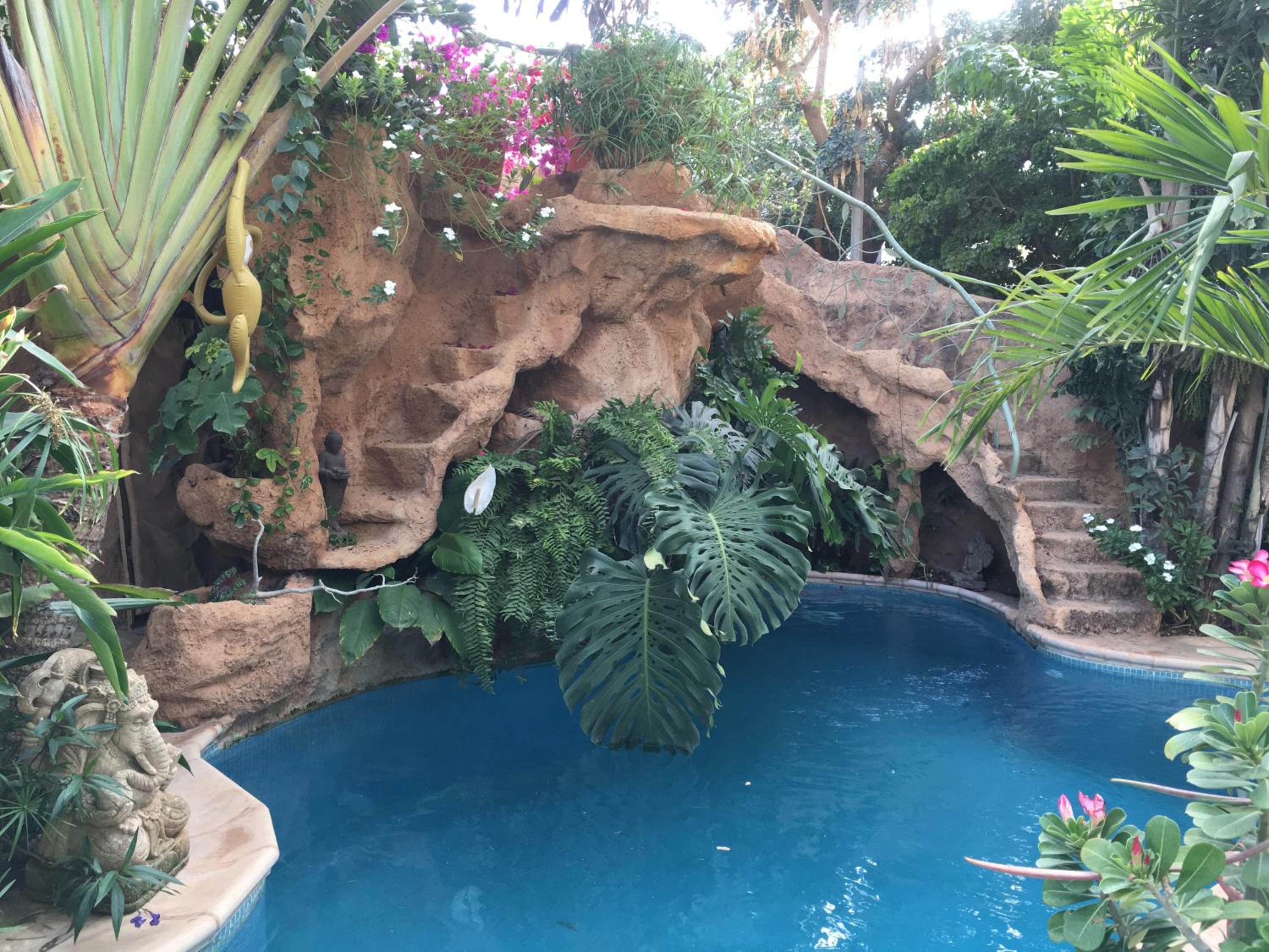tropical oasis