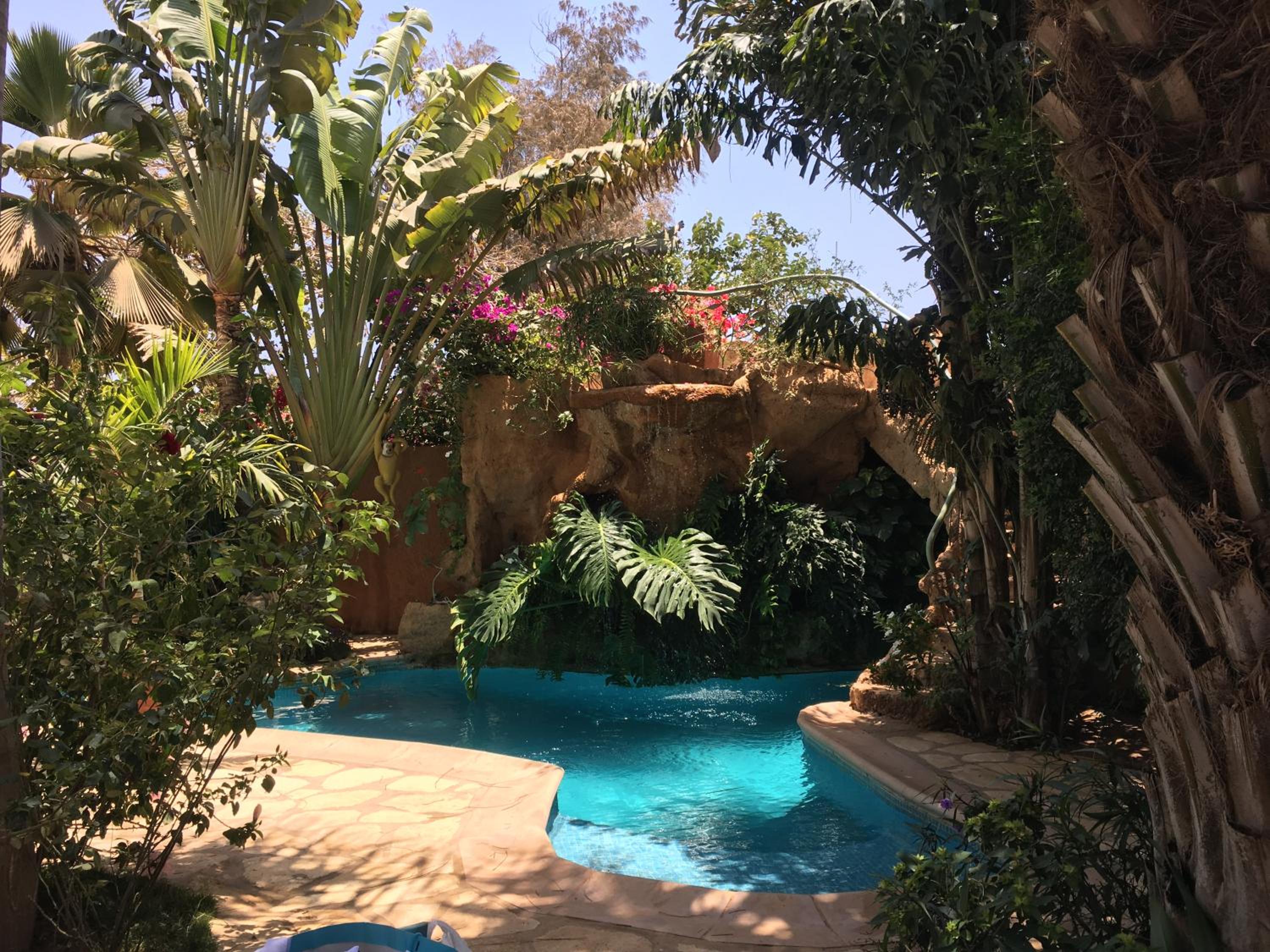 tropical oasis
