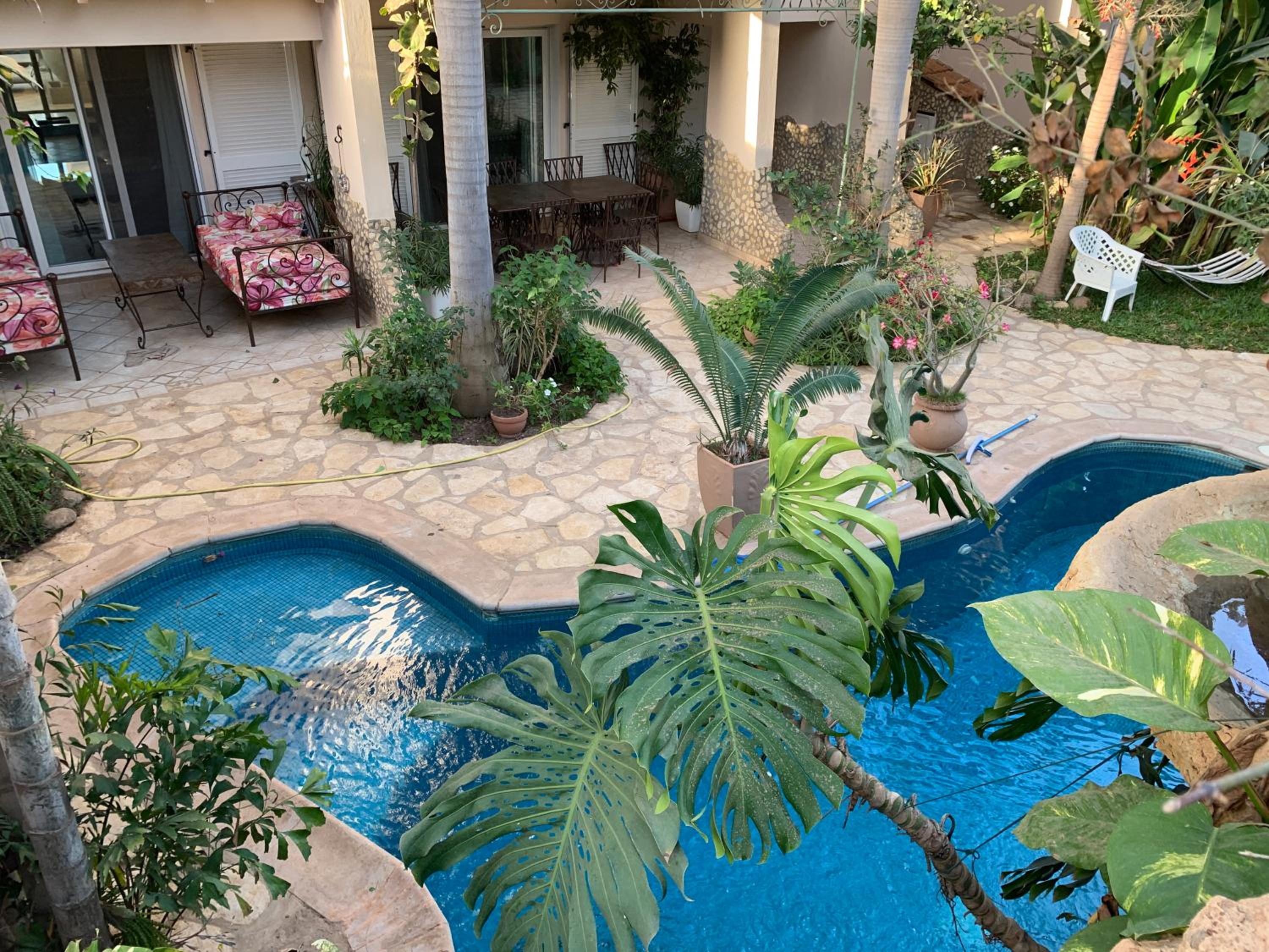 tropical oasis