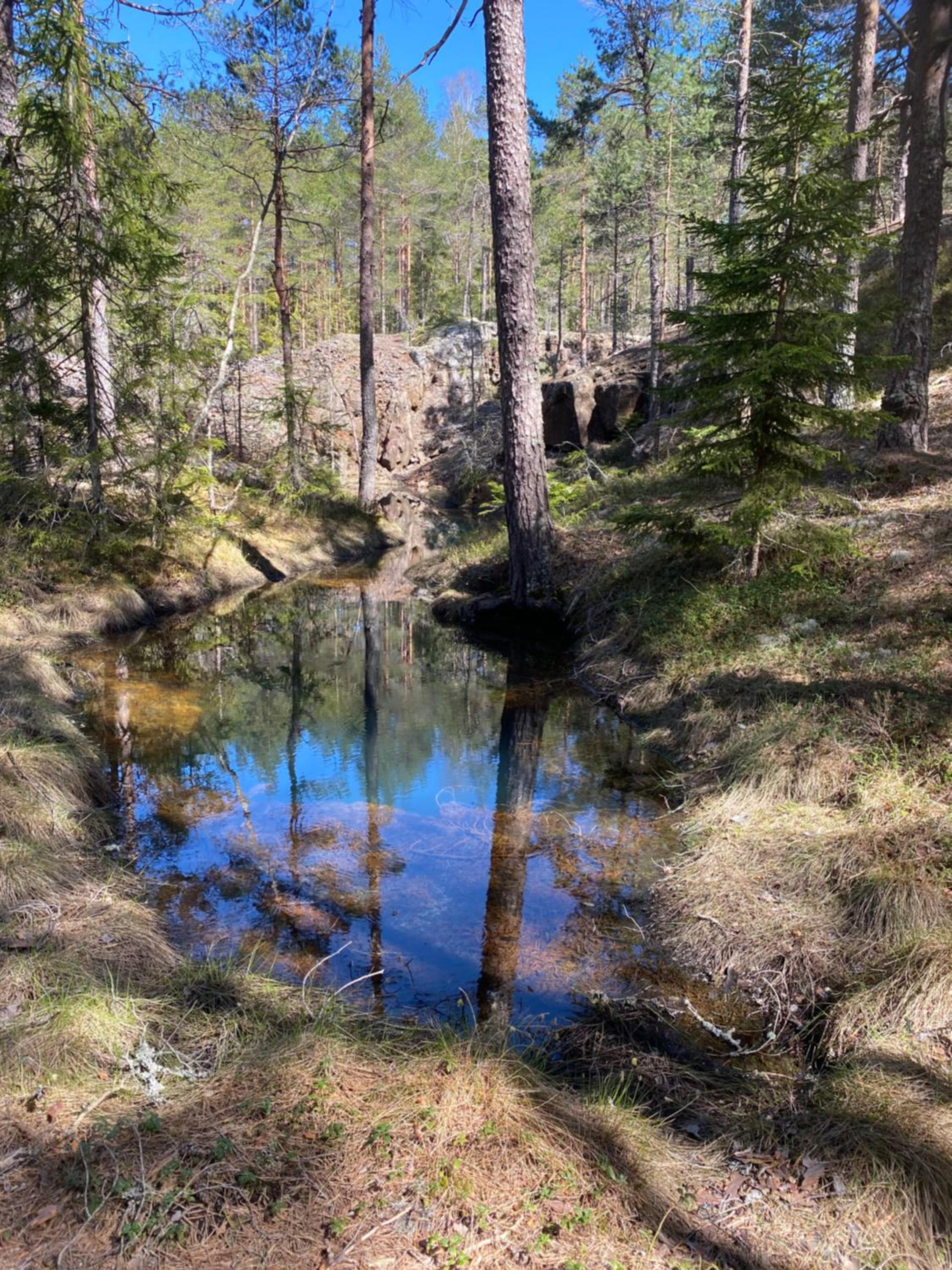 Photo 47