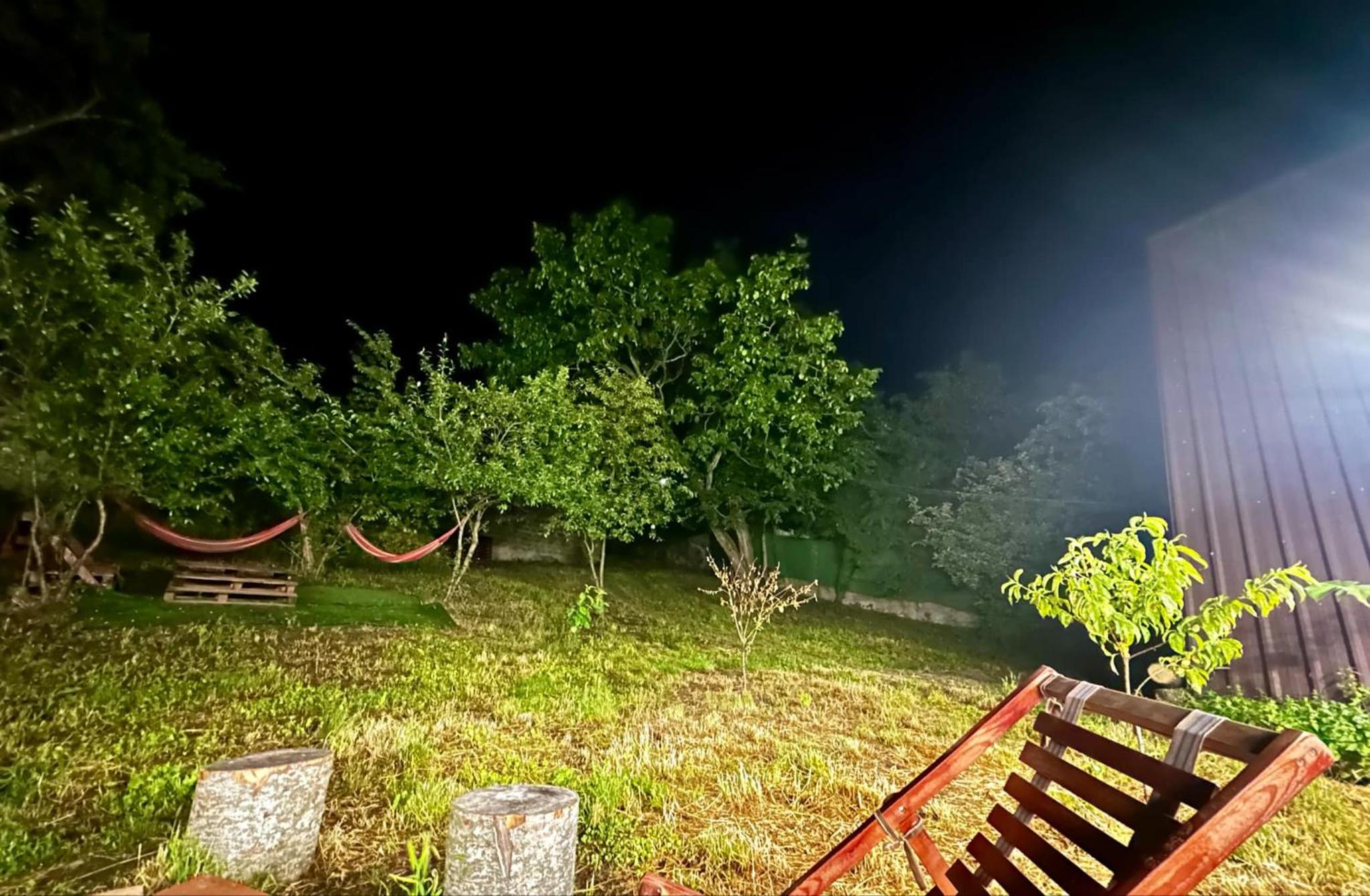 Silent lisi view 4