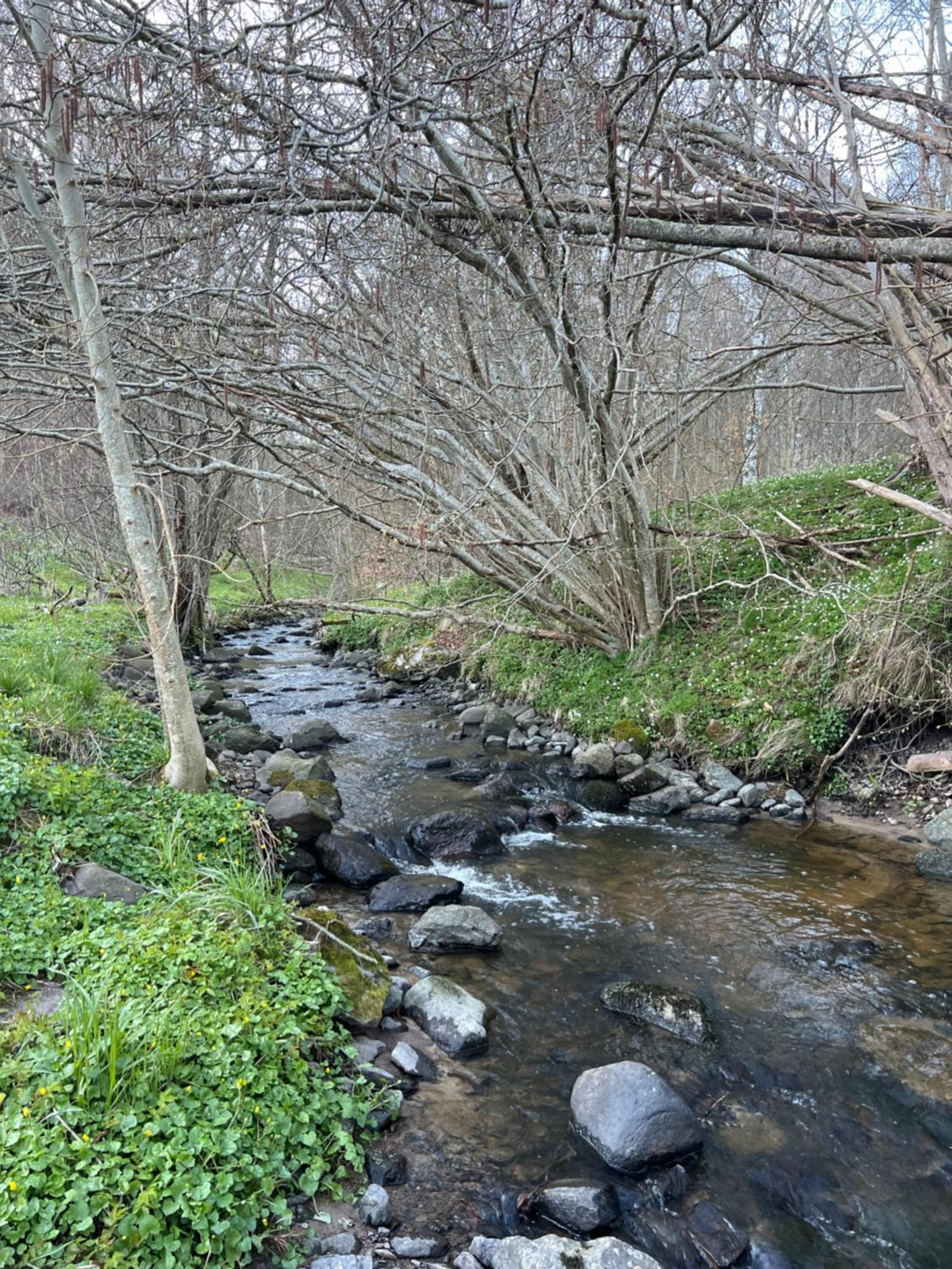 Photo 45