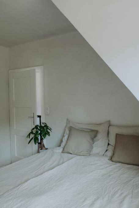 Nomads Nest Sappe