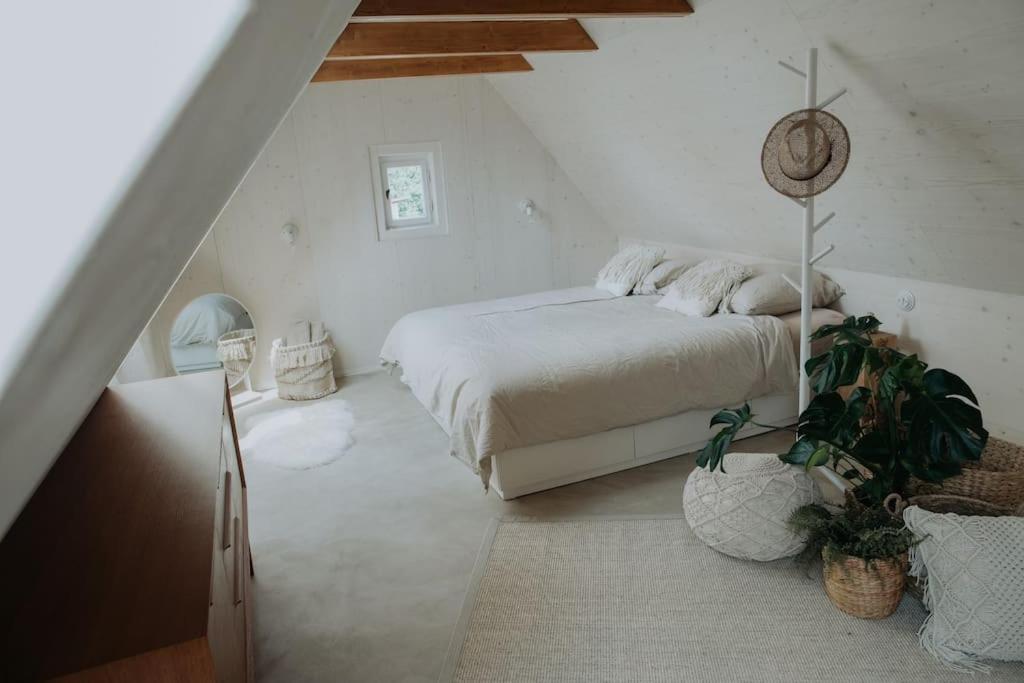 Nomads Nest Sappe