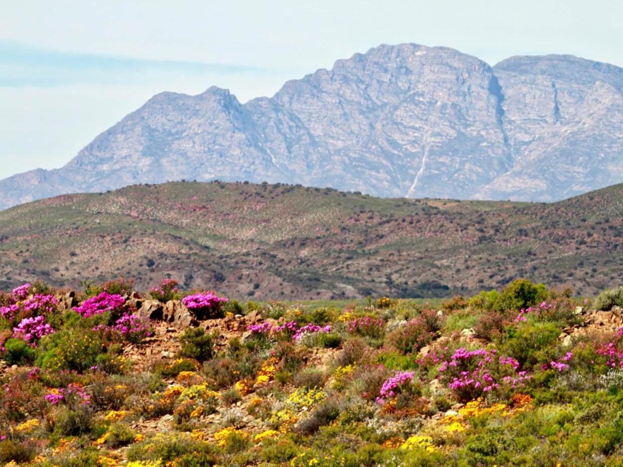 Aardvark Bioreserve view 2