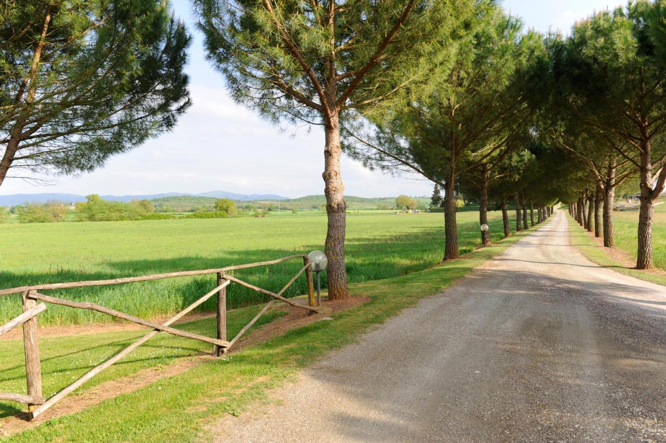 Fattoria Agriturismo Nerbona