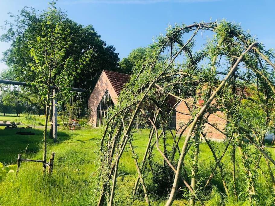Schuurloft Hof ten Bogaerde met biozwembad, veldzicht & uilennest