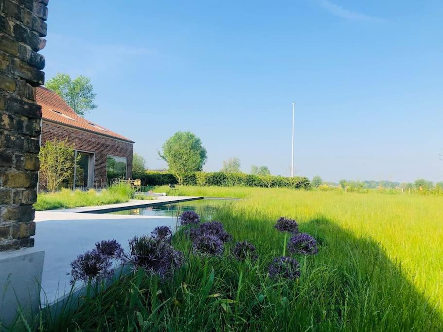 Schuurloft Hof ten Bogaerde met biozwembad, veldzicht & uilennest