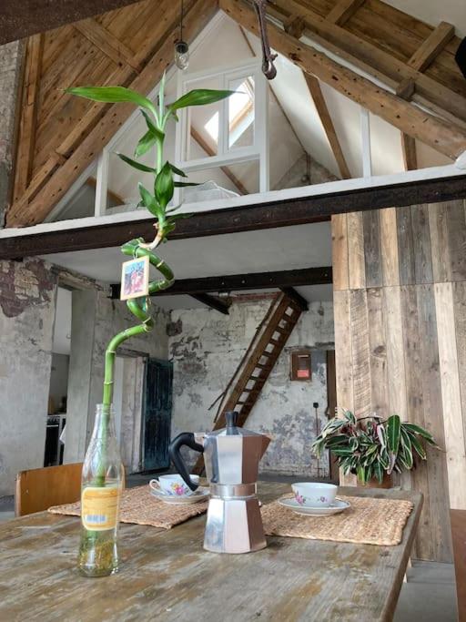 Schuurloft Hof ten Bogaerde met biozwembad, veldzicht & uilennest