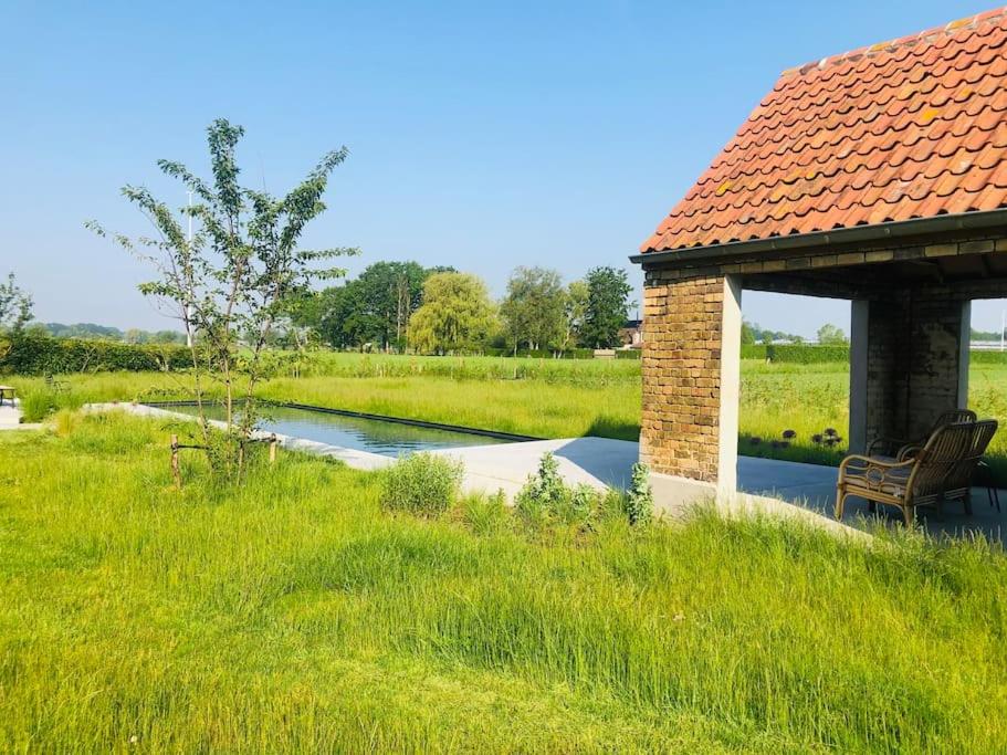 Schuurloft Hof ten Bogaerde met biozwembad, veldzicht & uilennest