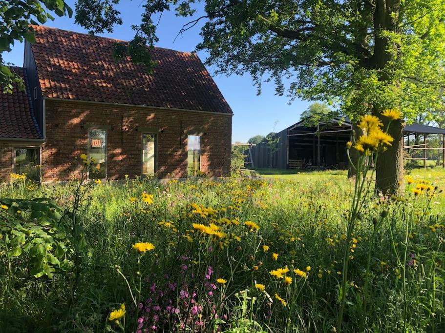 Schuurloft Hof ten Bogaerde met biozwembad, veldzicht & uilennest
