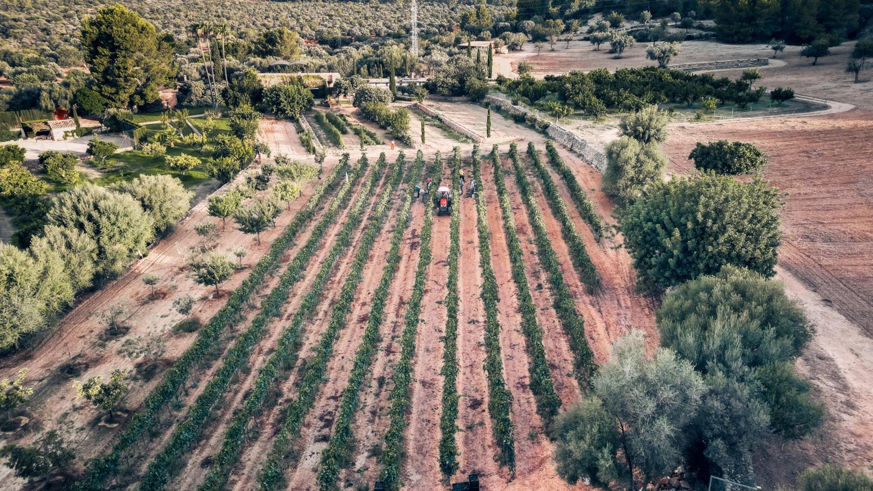 Finca Es Cabàs