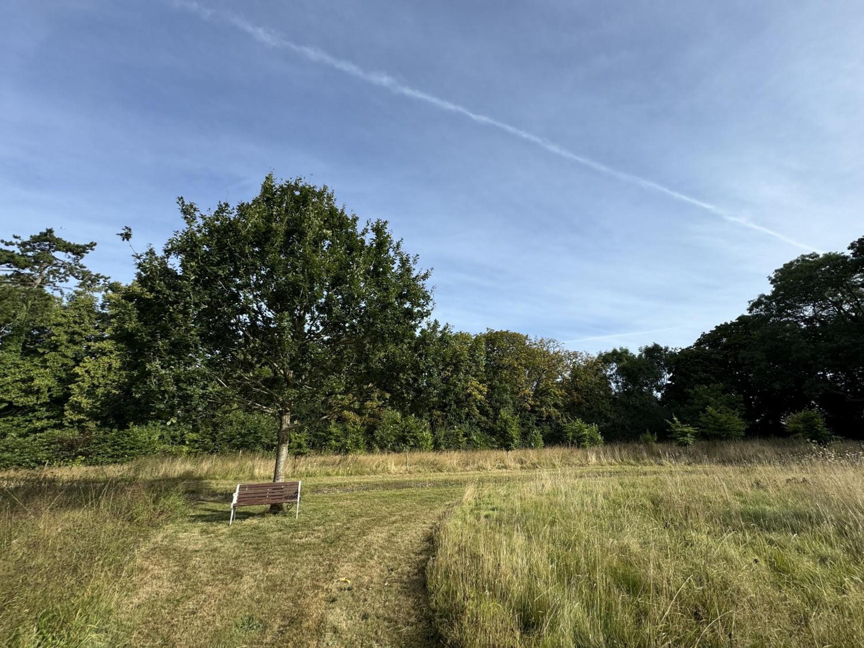 Hookwood Lodge