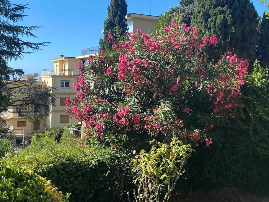 Bilocale in zona residenziale