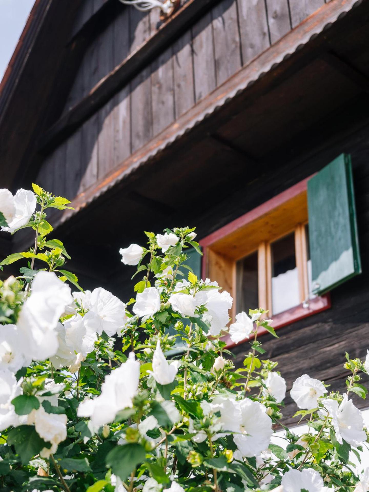 SCHILCHERLANDLEBEN - Bauernhaus
