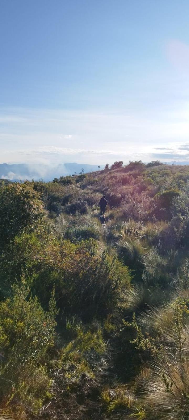 Cabaña Lato_puzhio