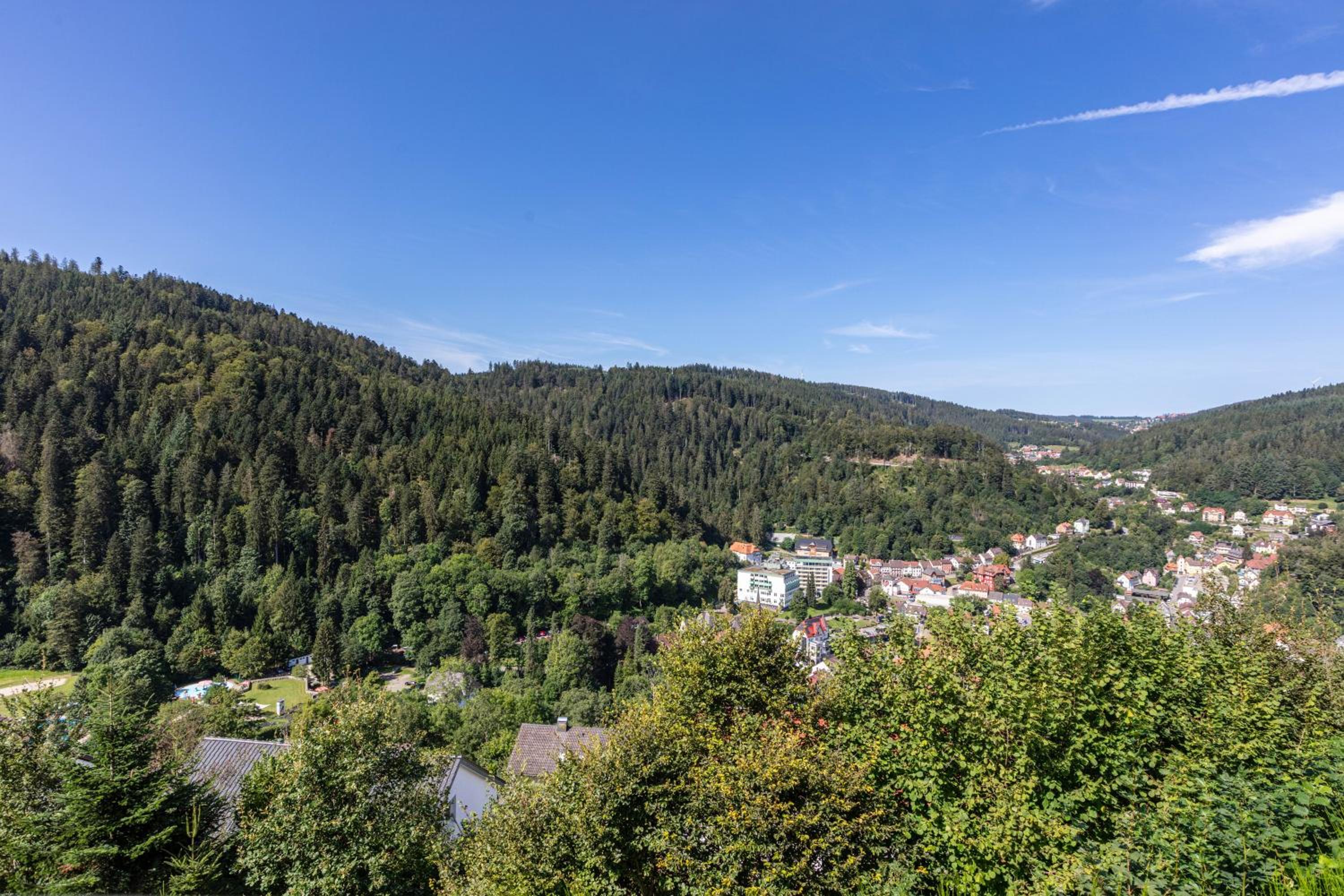 Triberg Blick