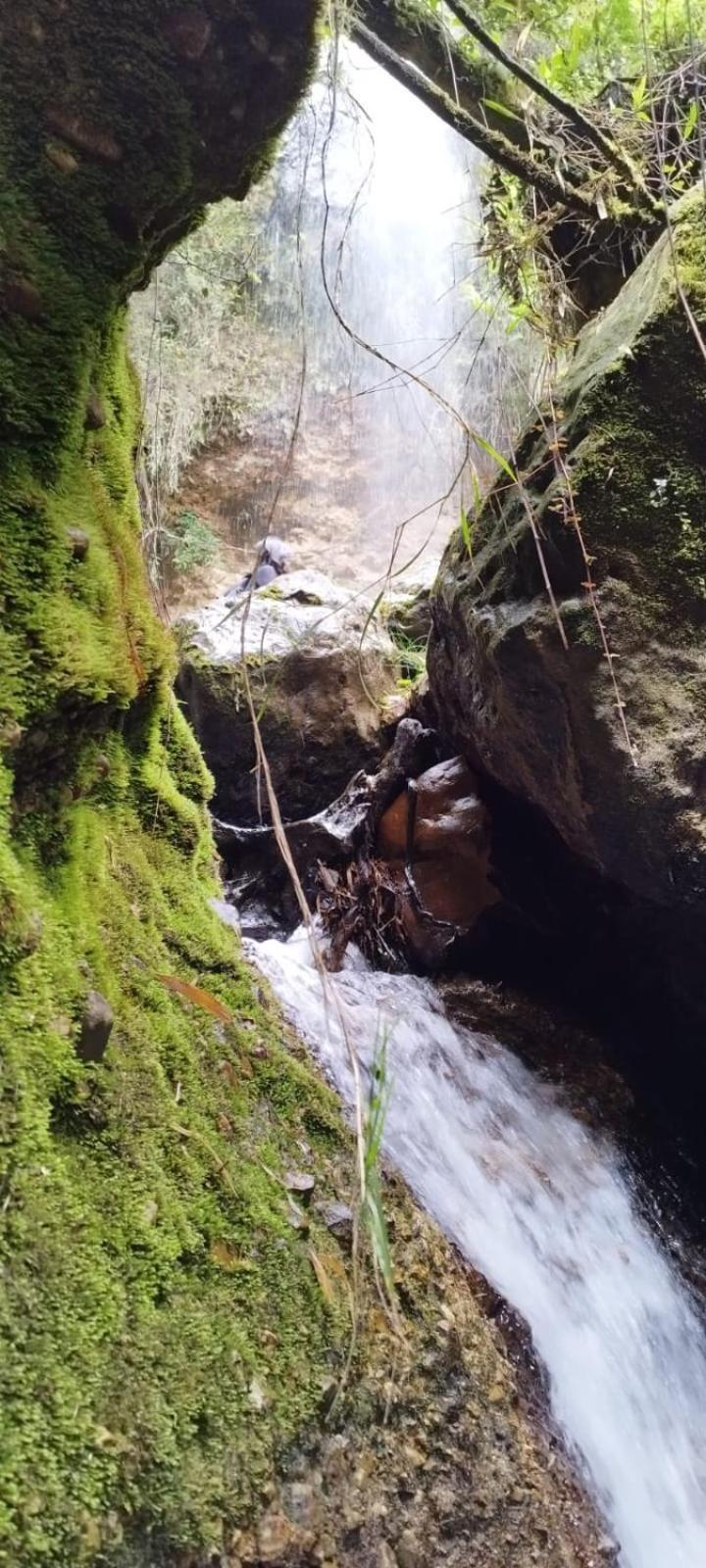 Cabaña Lato_puzhio