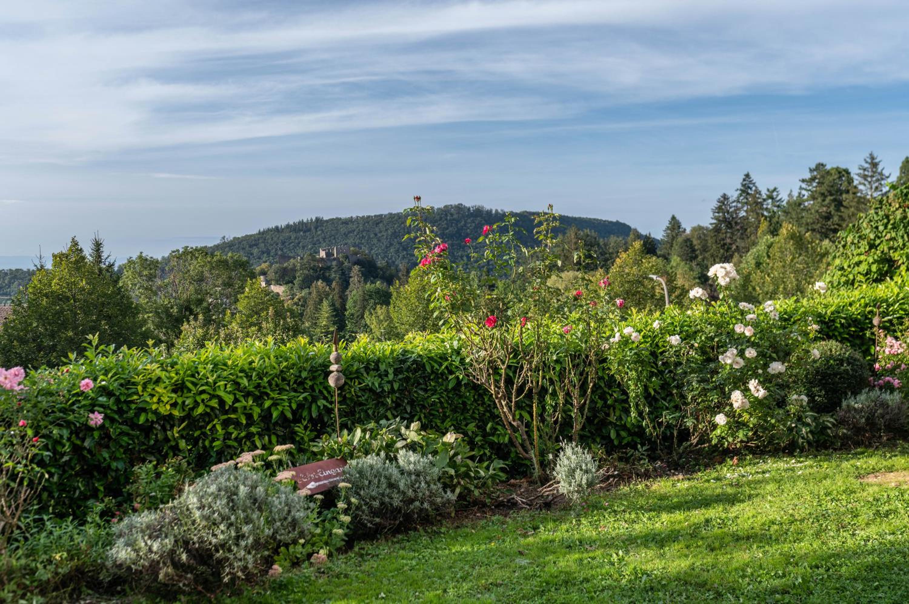Villa Schlössle