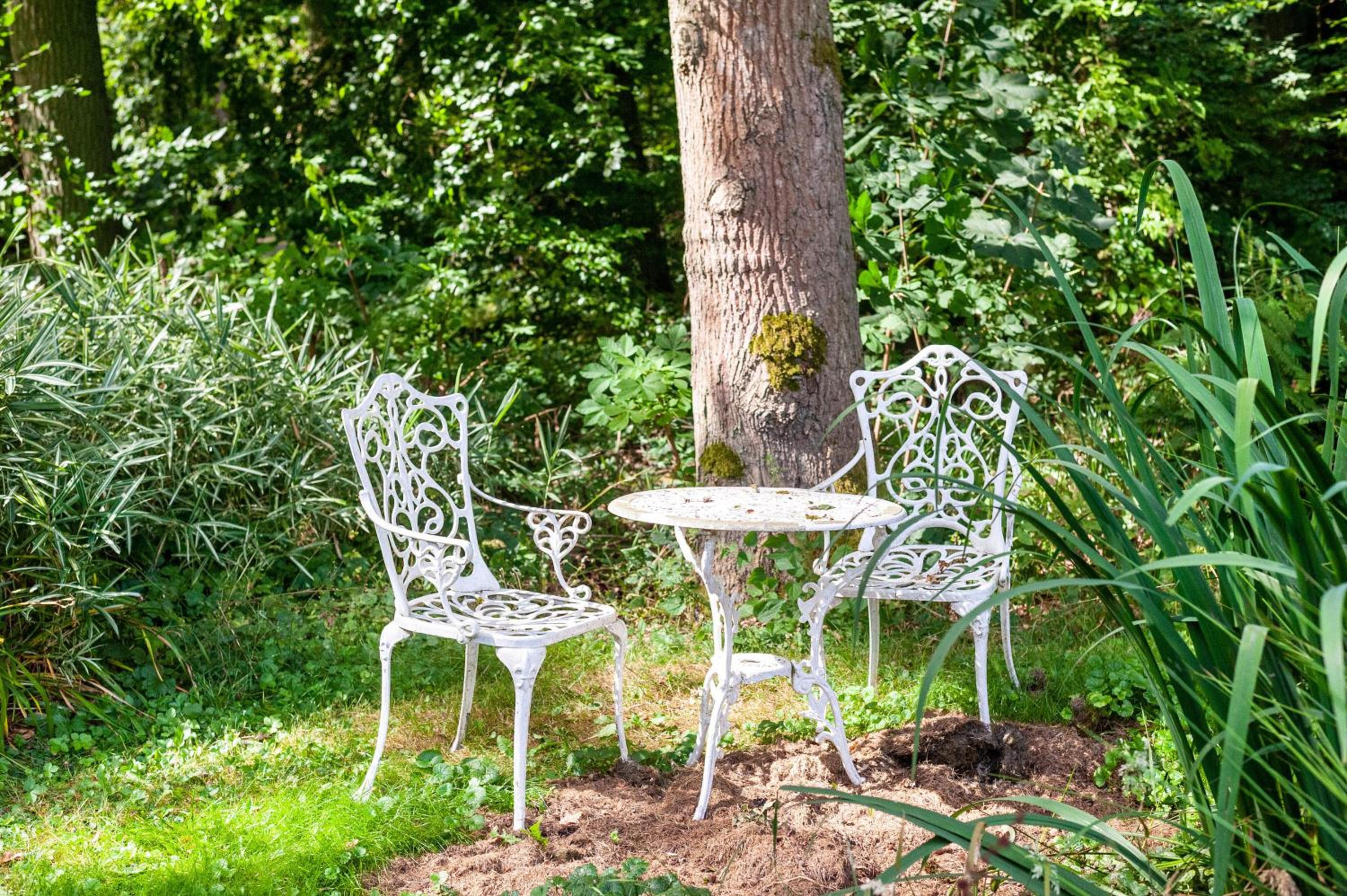 Ferienwohnung am Wald