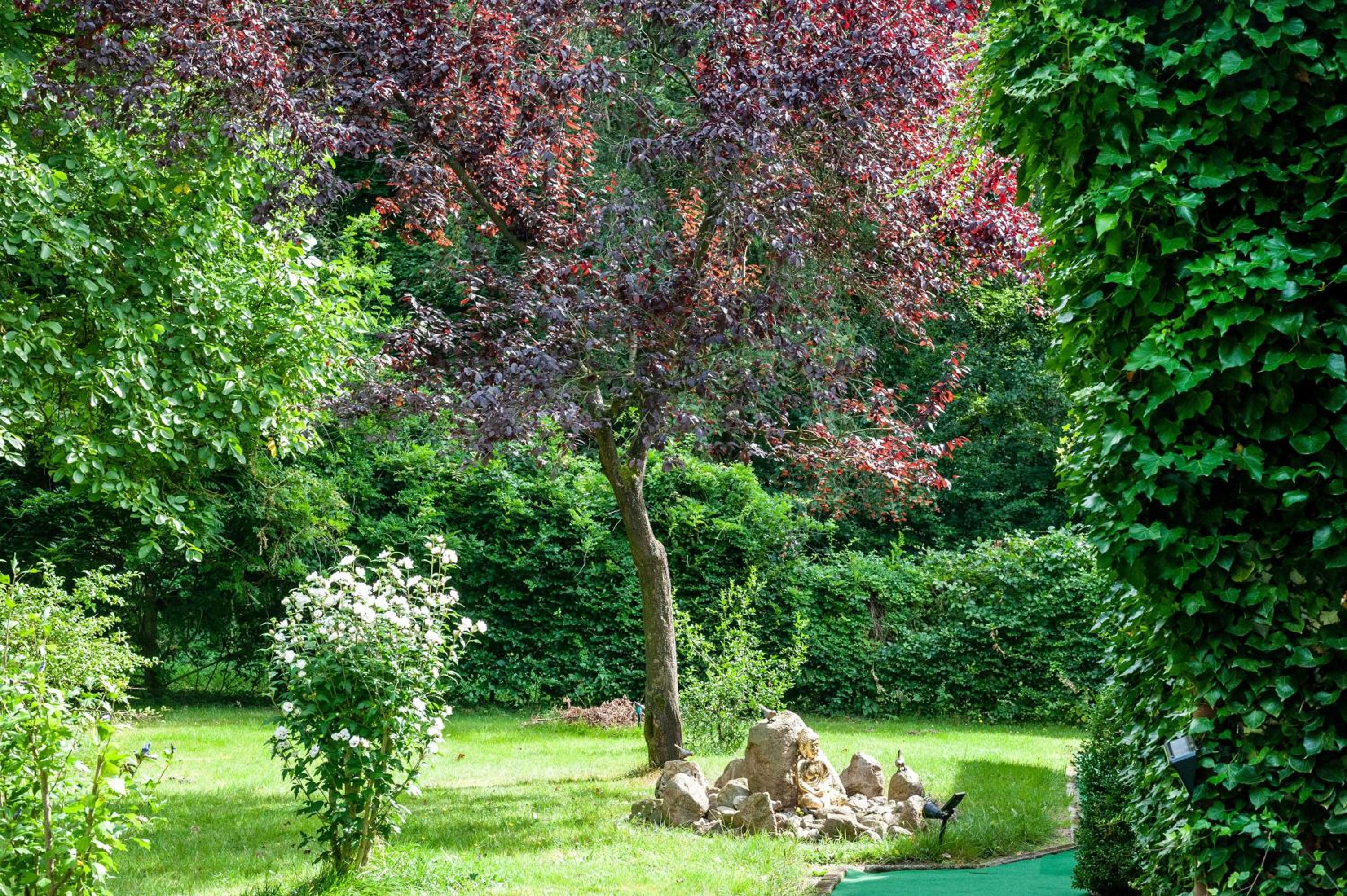 Ferienwohnung am Wald