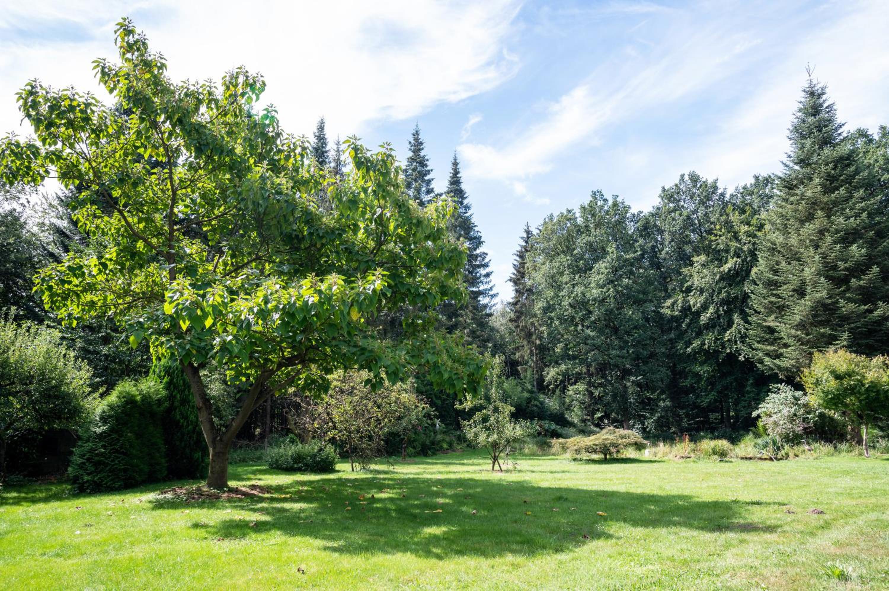 Ferienwohnung am Wald