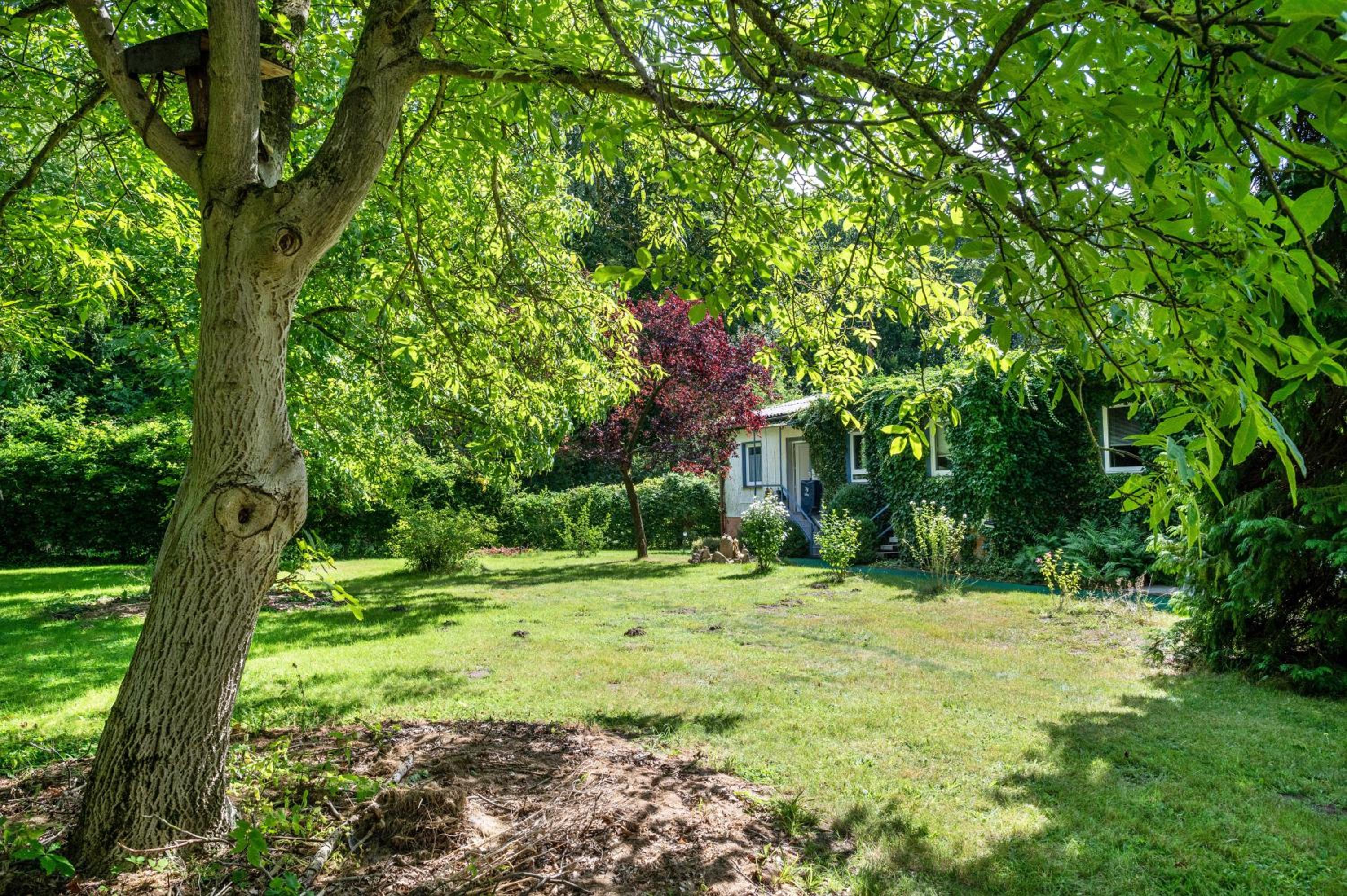 Ferienwohnung am Wald