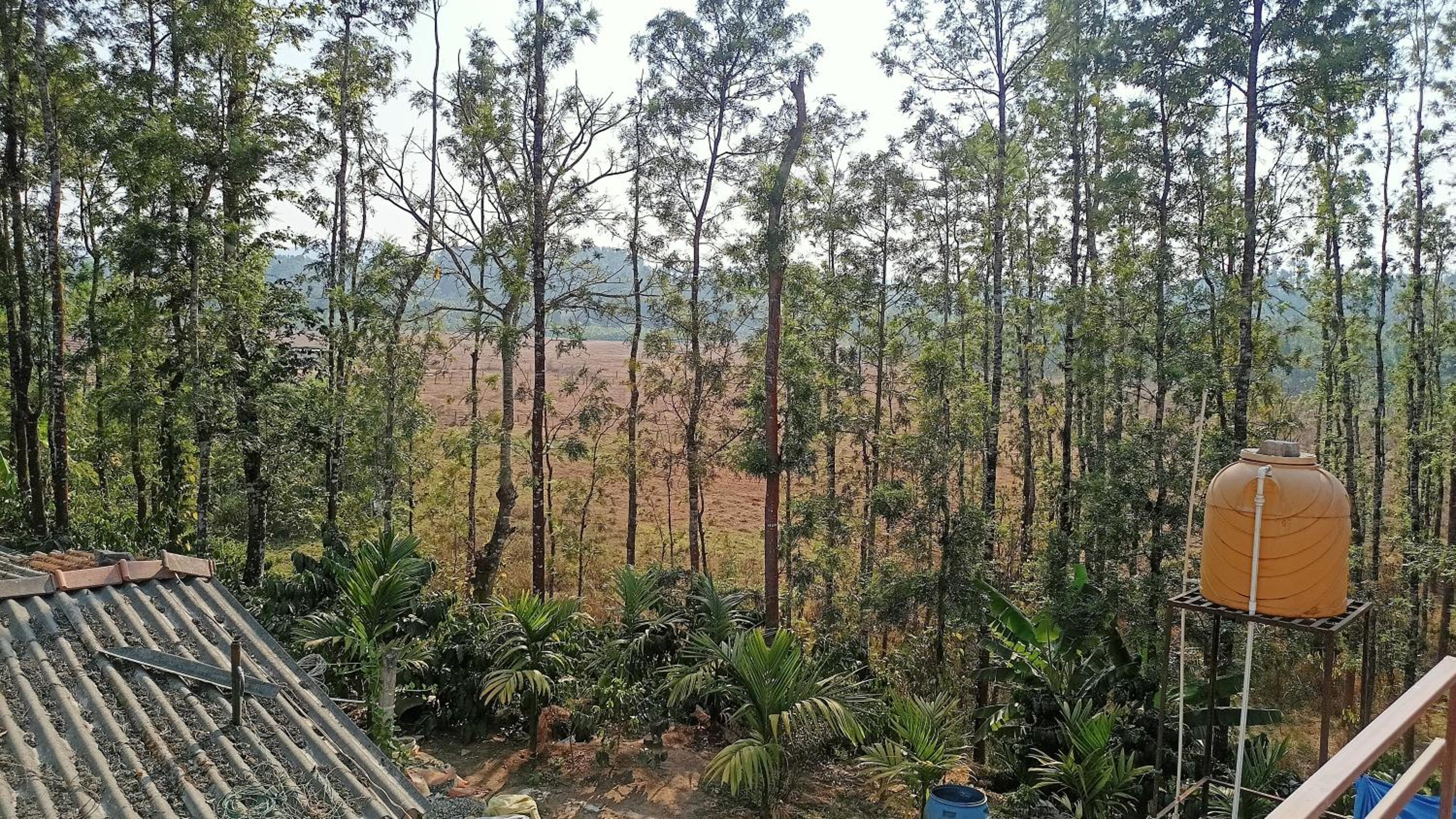 Flora Homestay