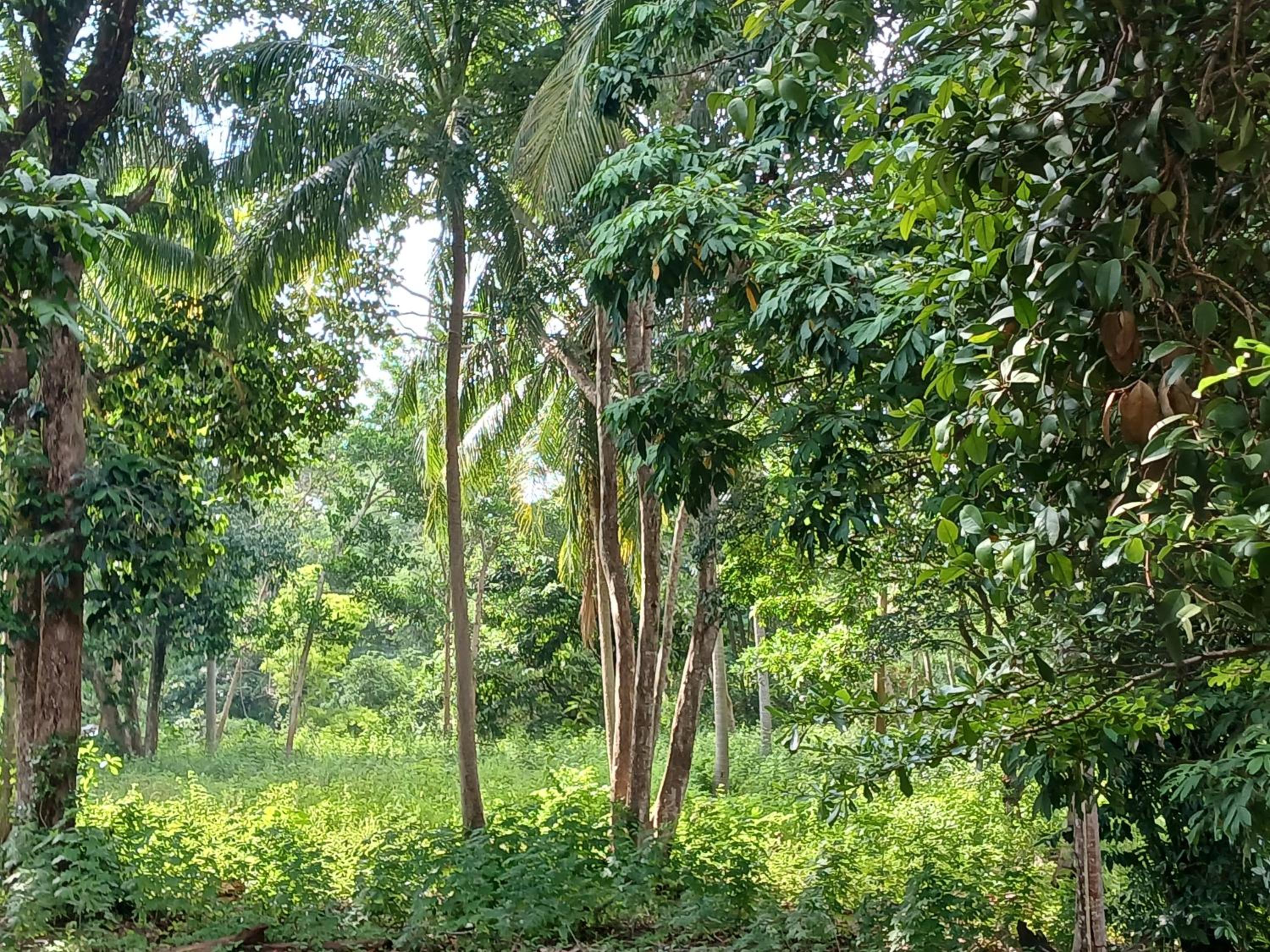 Baan Long Beach