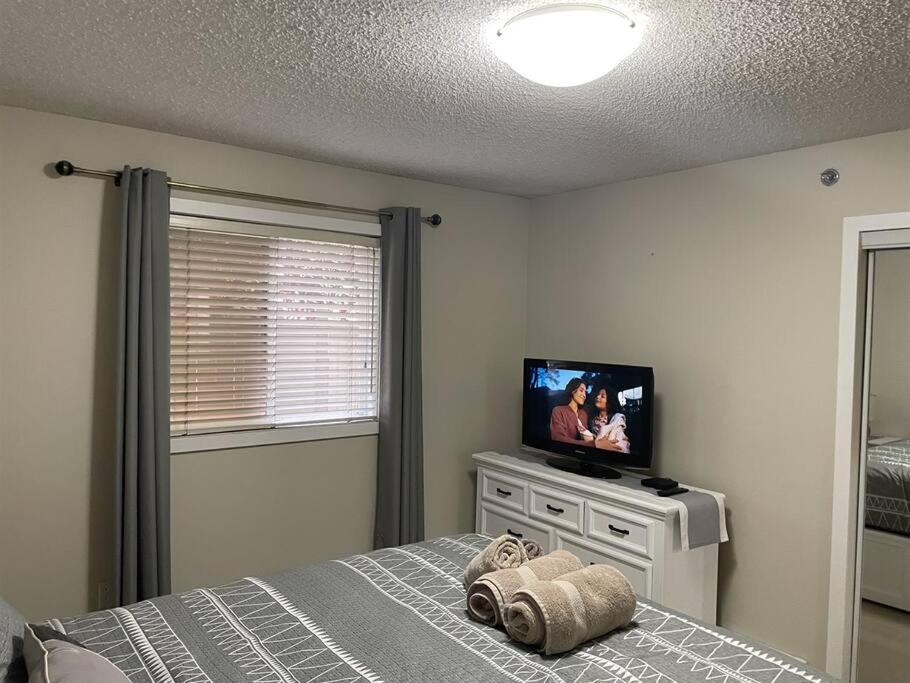 Chris Cozy Condo Commonwealth #107 Edmonton