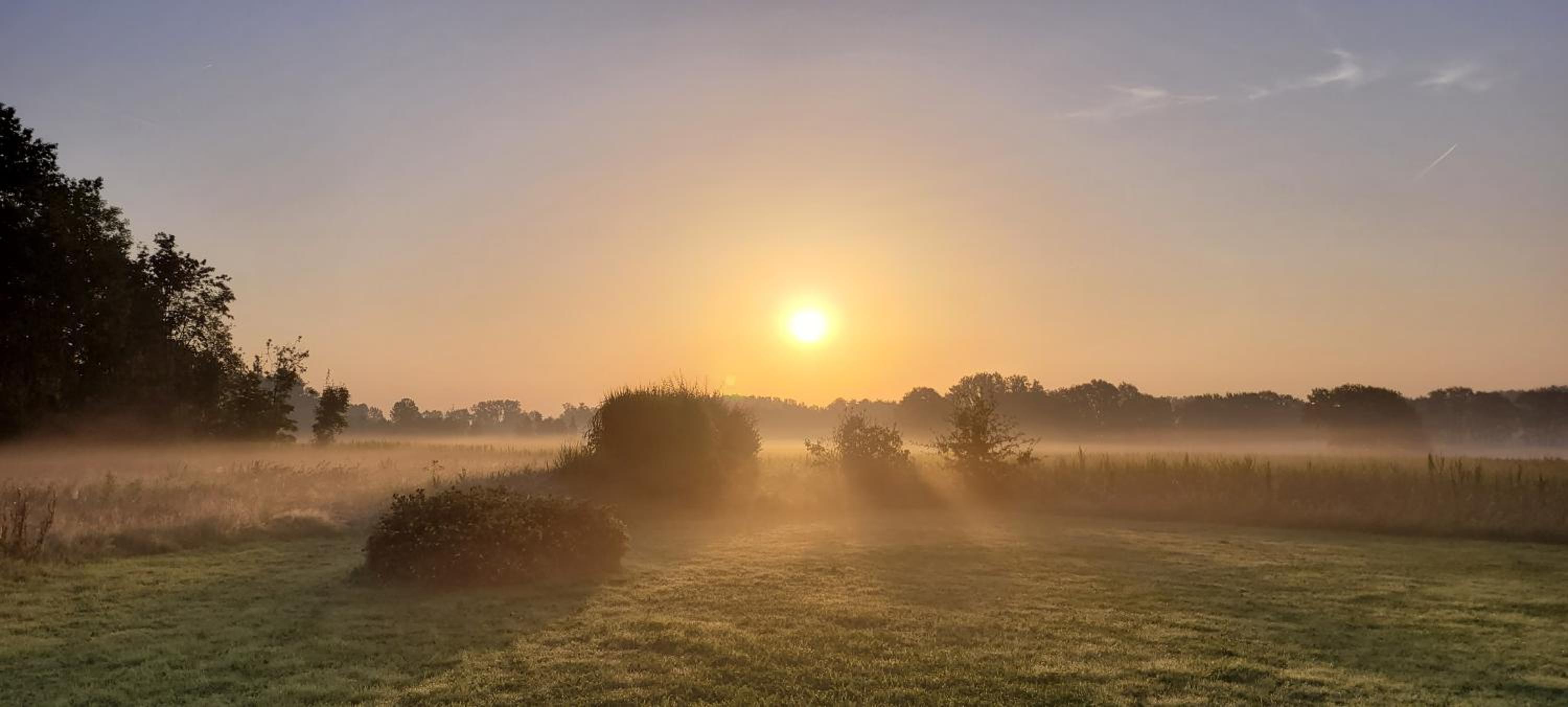 B&B D'Hollehoeve