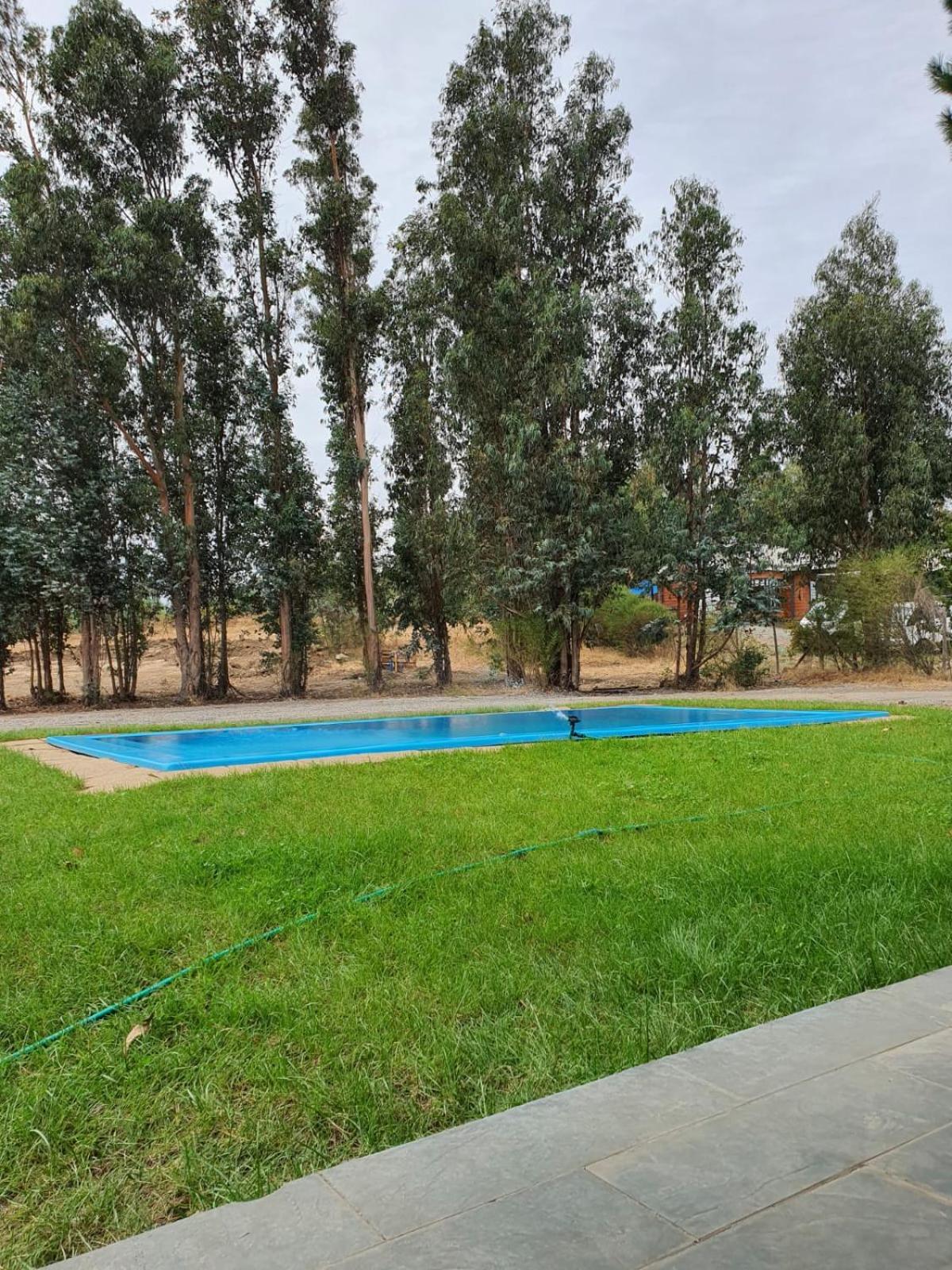 Los tres pinos