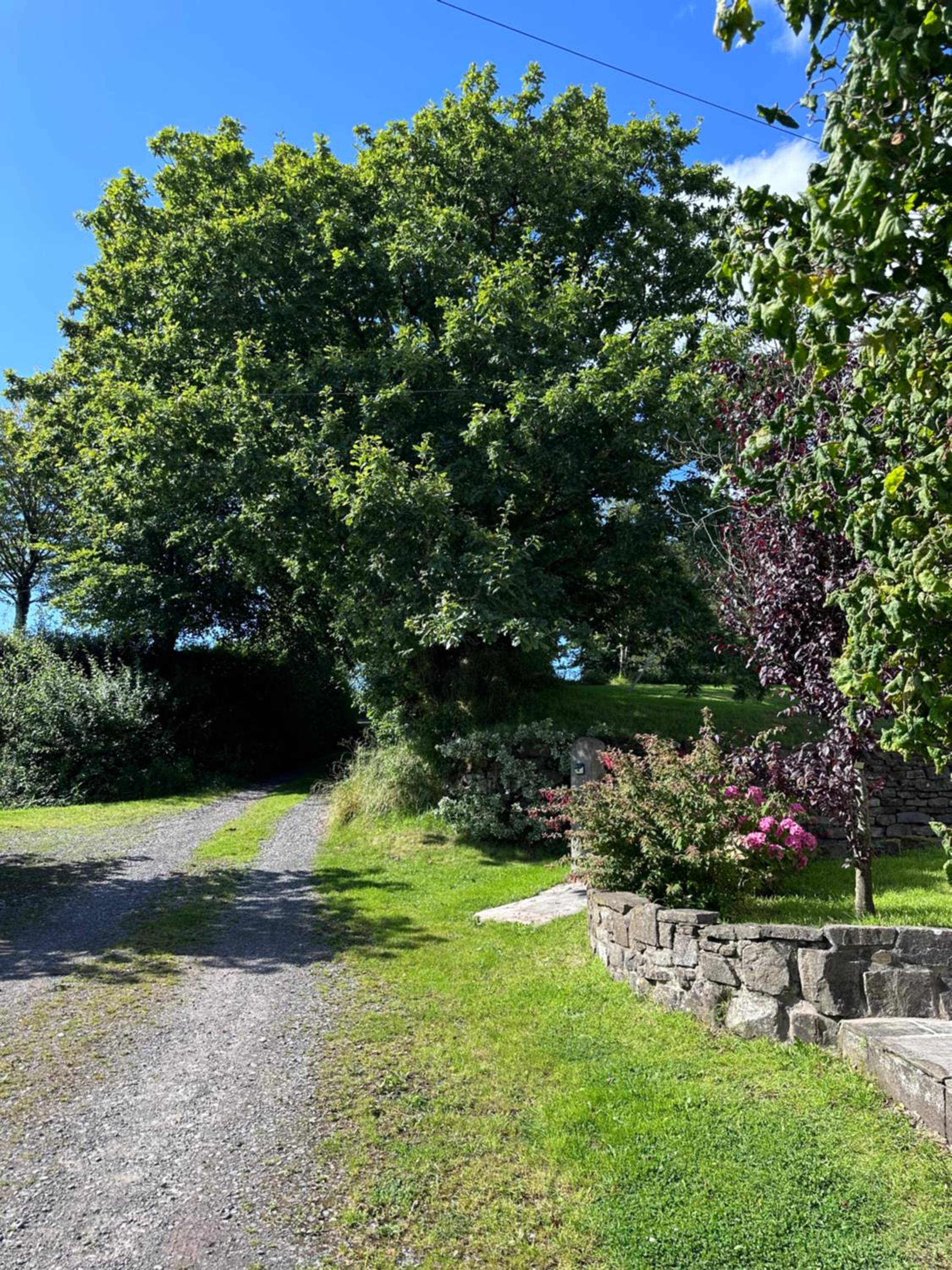 Luxe Farmhouse Getaway in Carmarthenshire