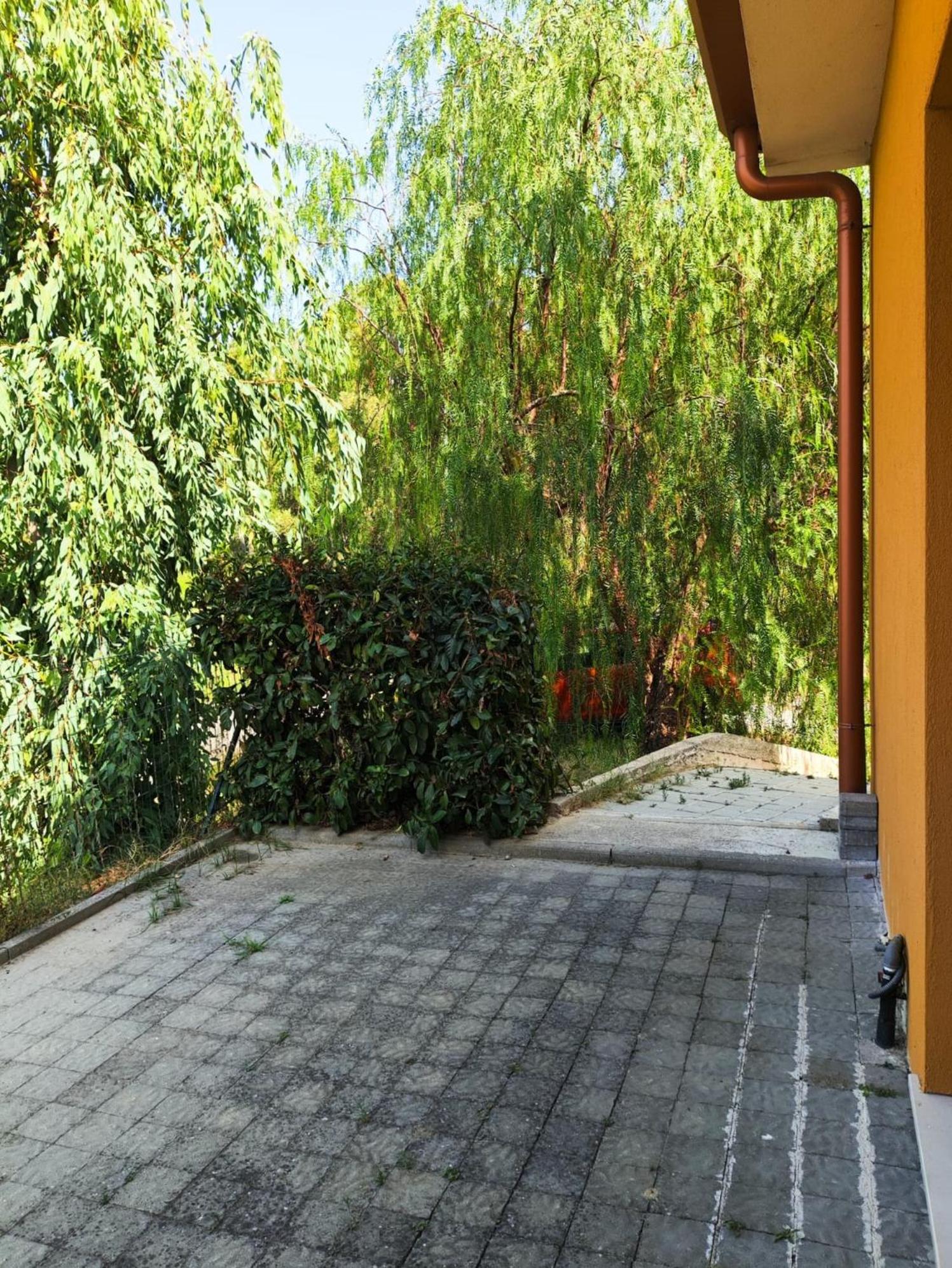 B & B Residence L'Ancora view 5
