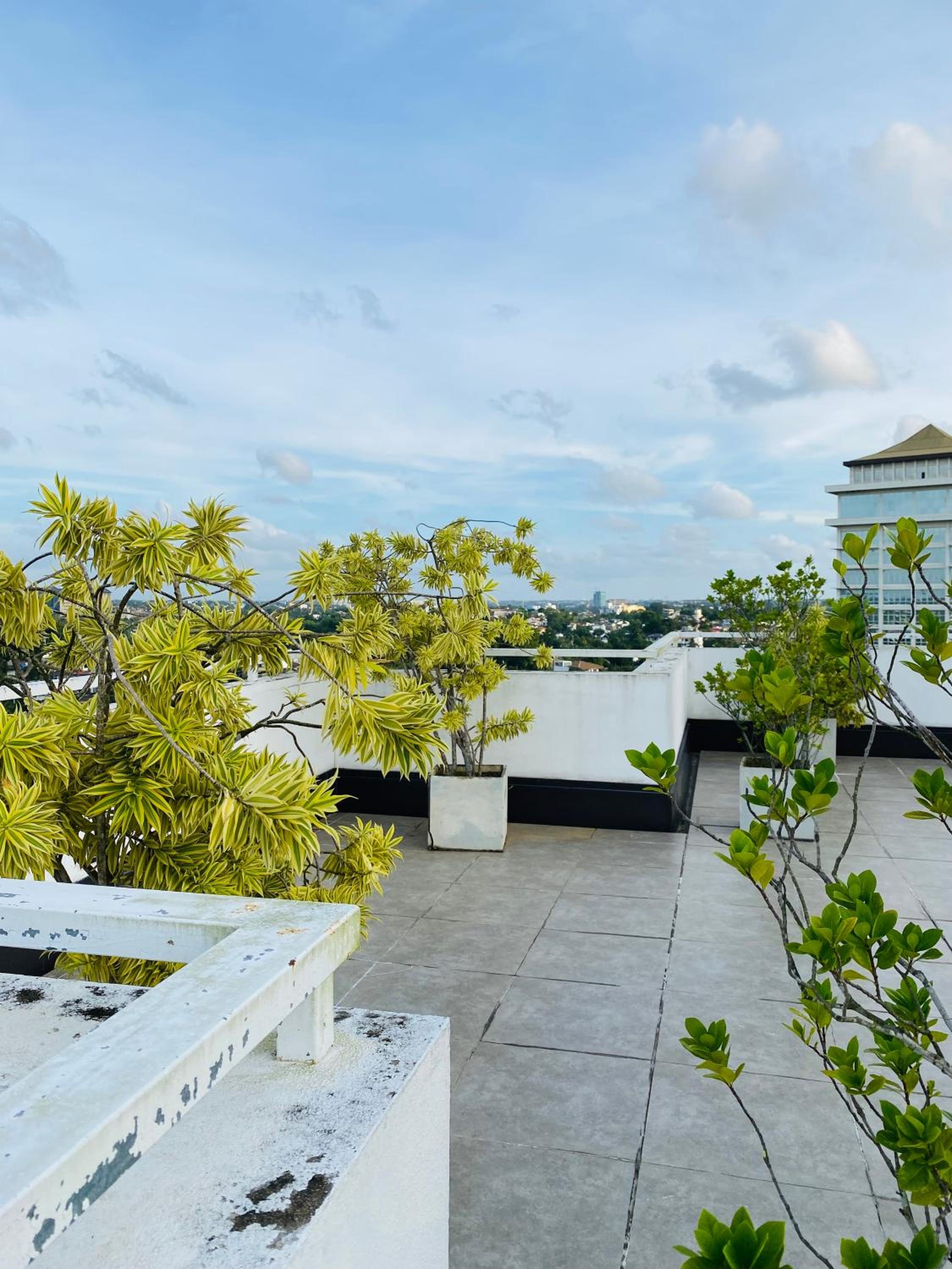 roof