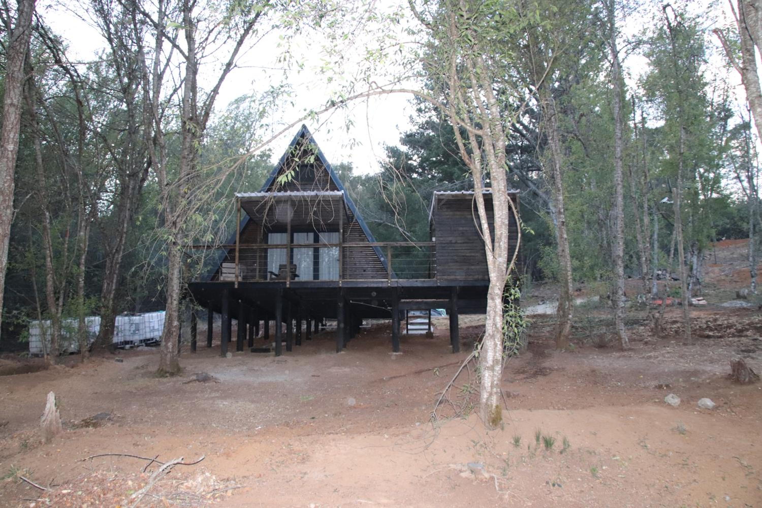 Treehaven Retreat