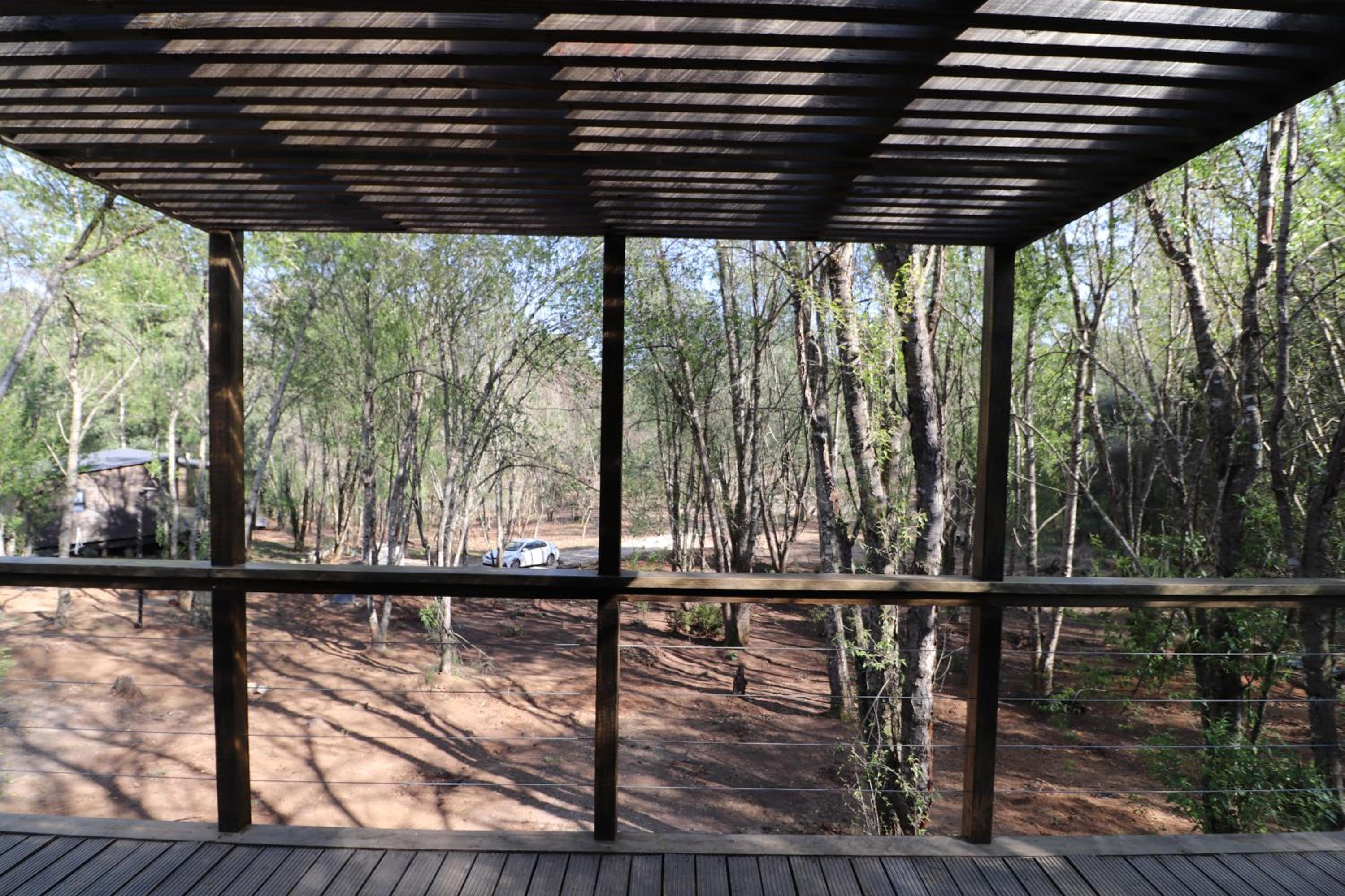 Treehaven Retreat