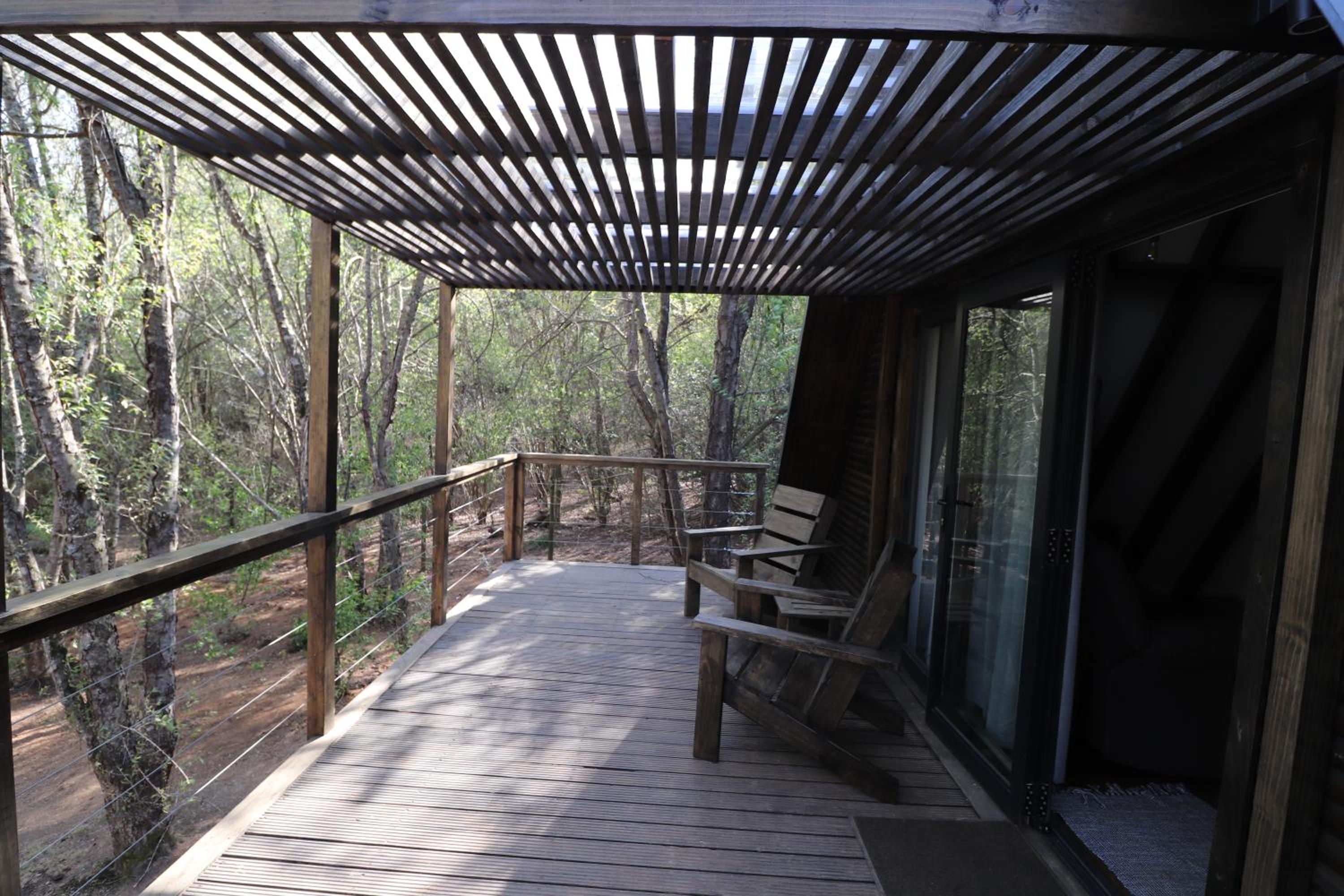 Treehaven Retreat