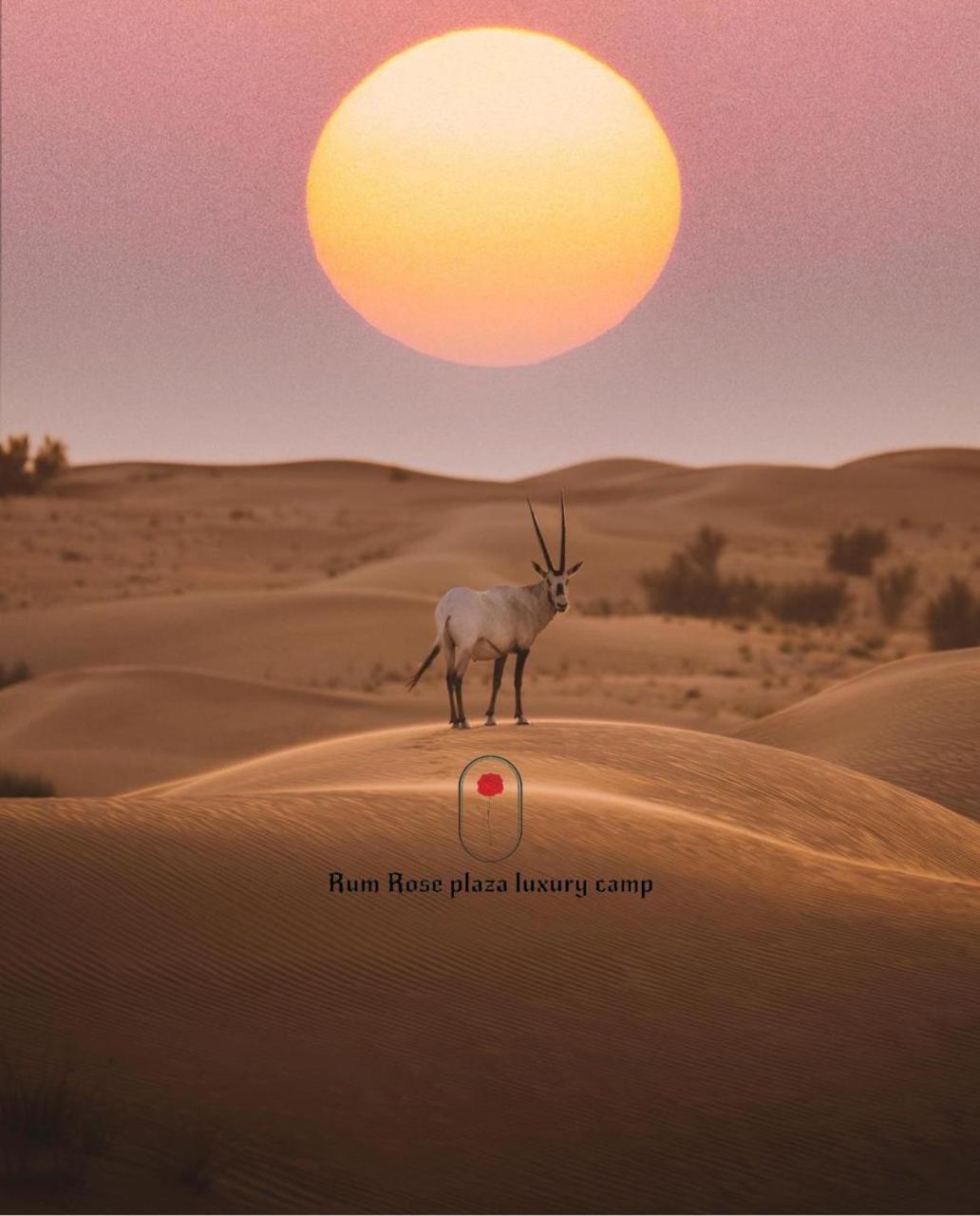 RUM MARS VALLEY BUBBLE lUXURY CAMP