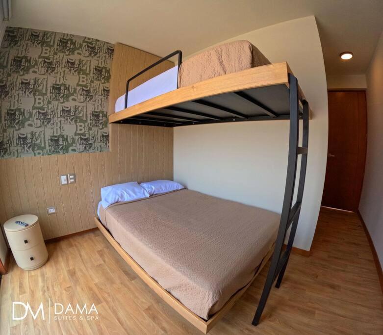 Casa Dama