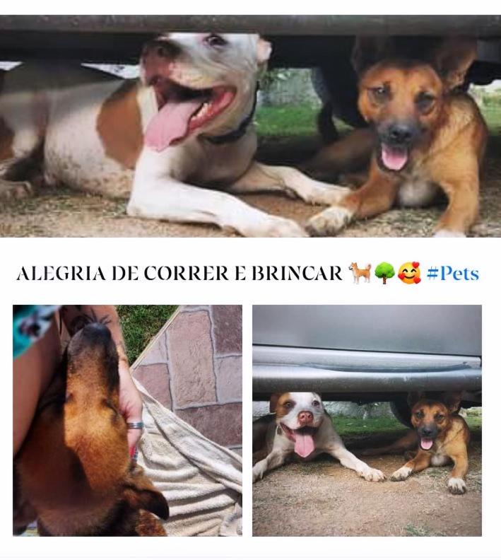 CHÁCARA KAUANNY SOCORRO SP