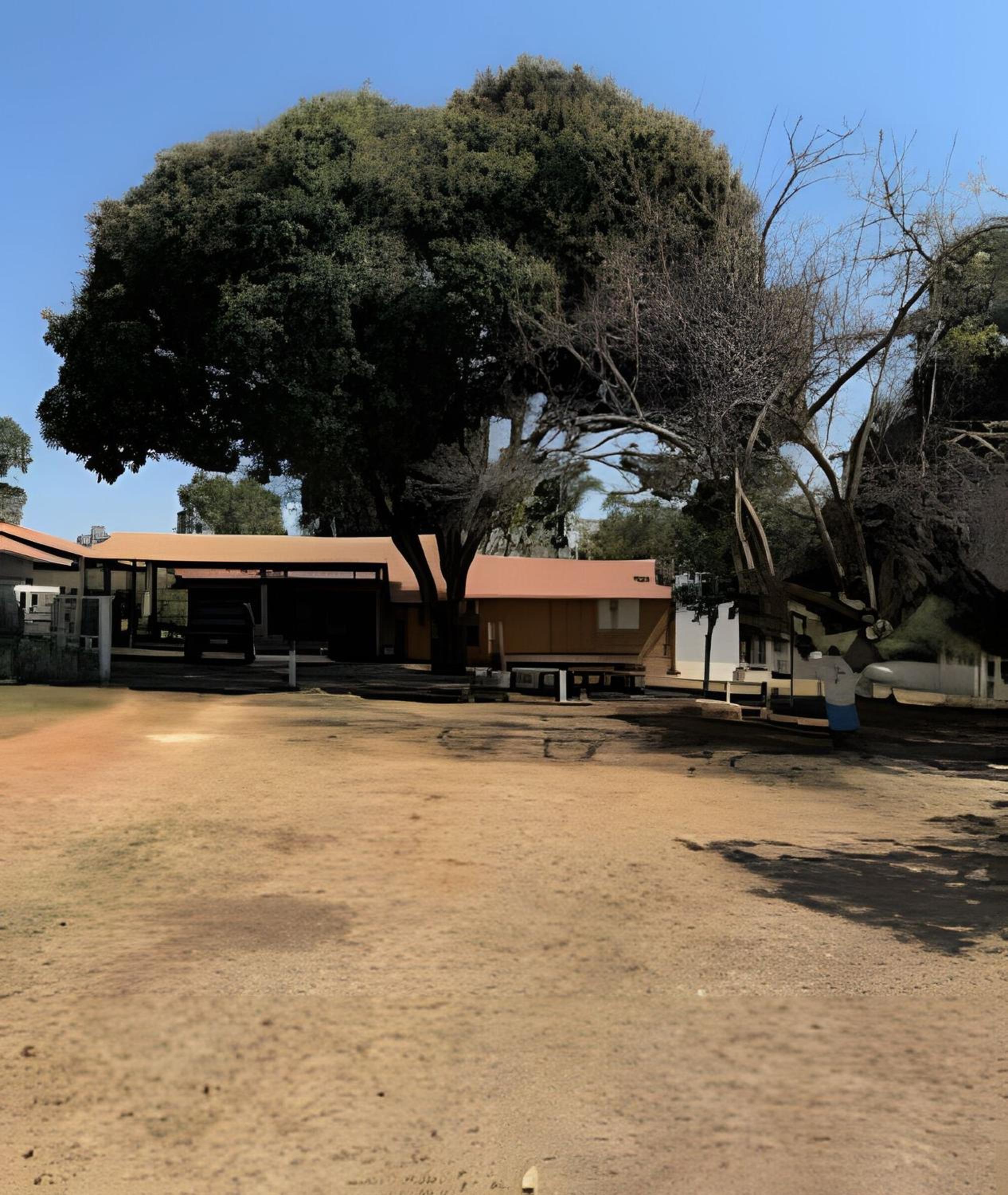 POUSADA DOS COQUEIROS