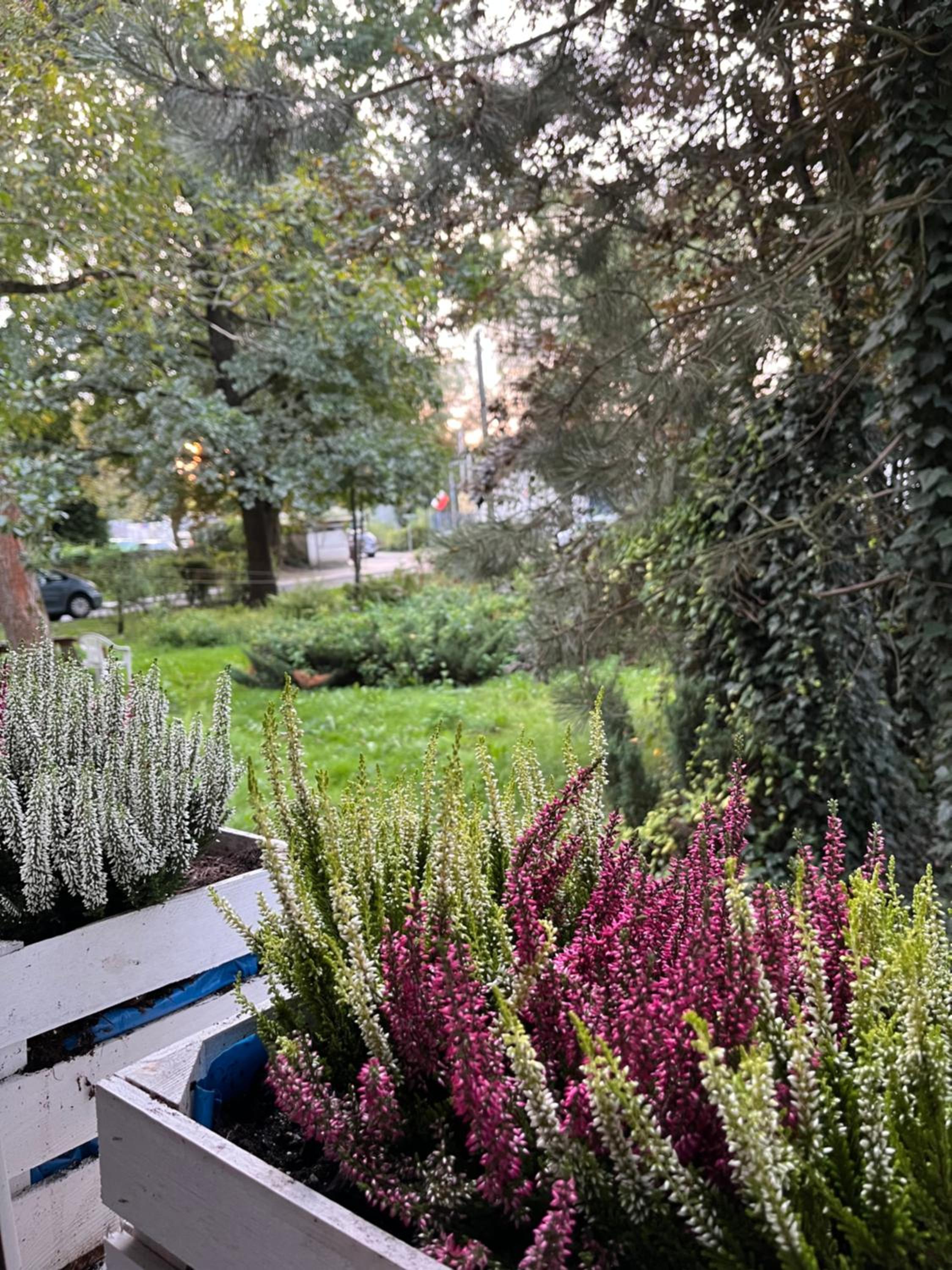 Greenthumb Praska