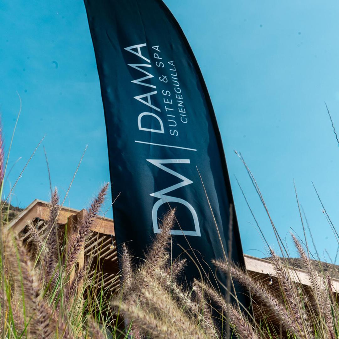 Casa Dama