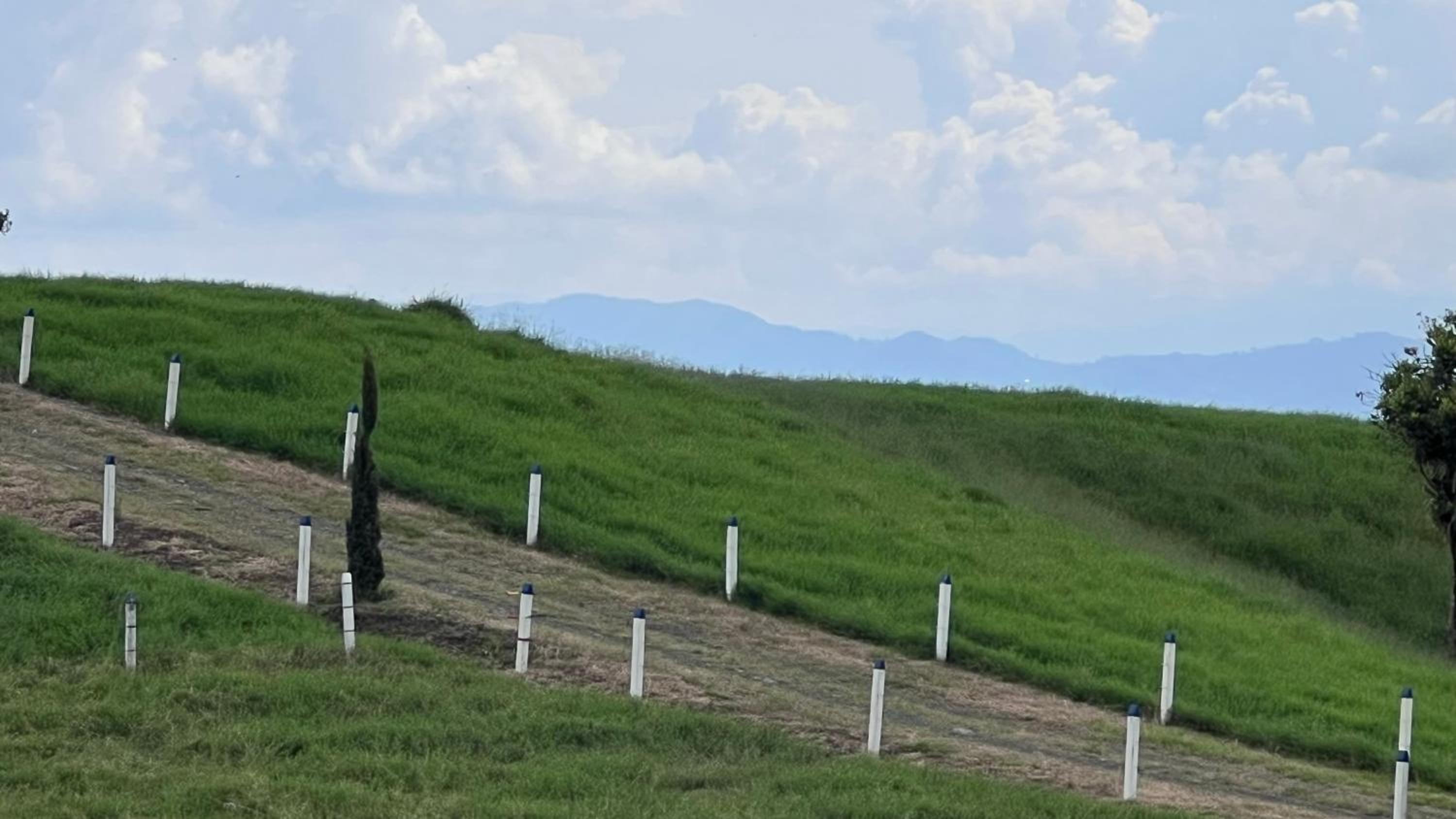 Alojamiento Villa Verde
