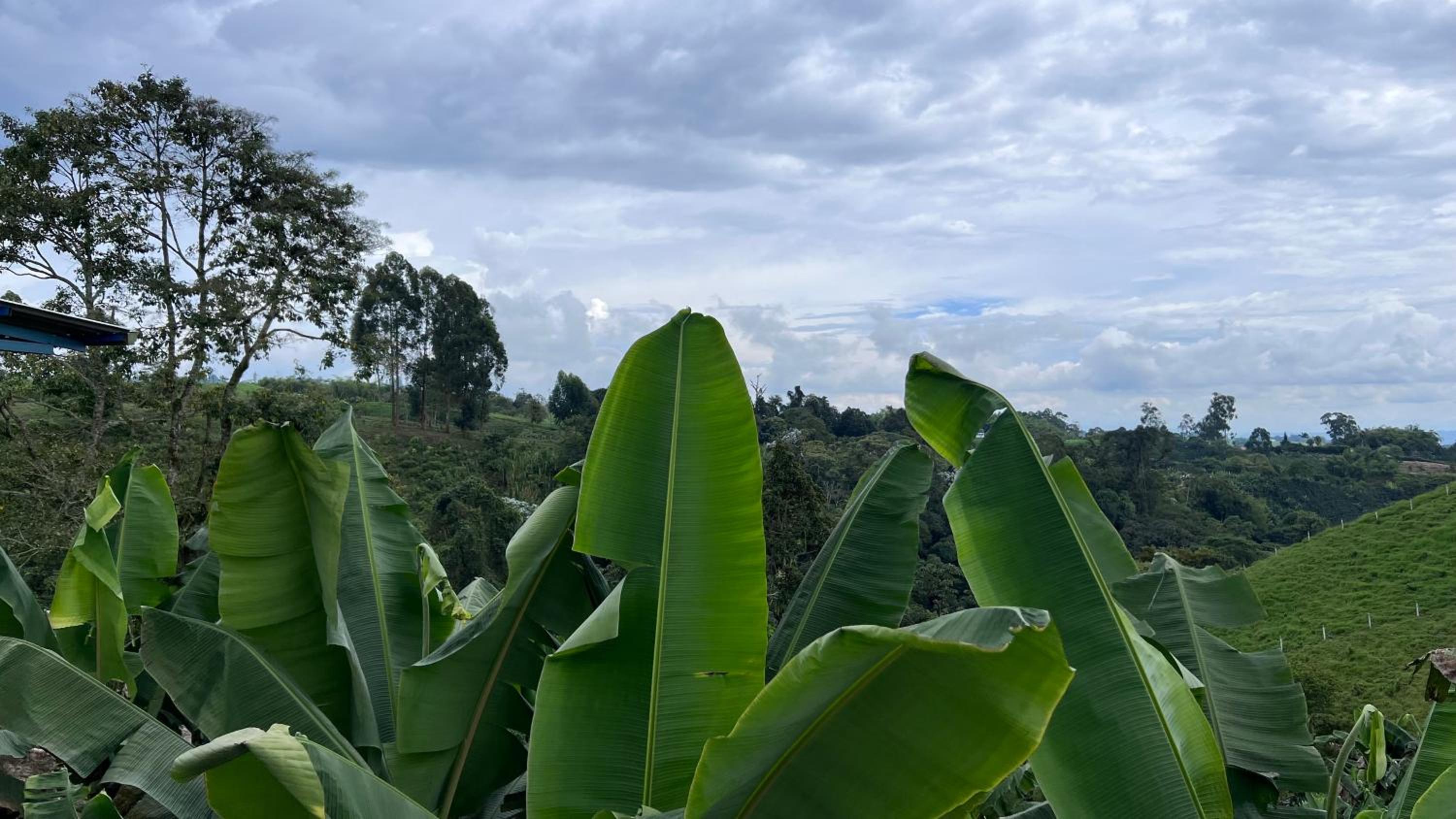 Alojamiento Villa Verde