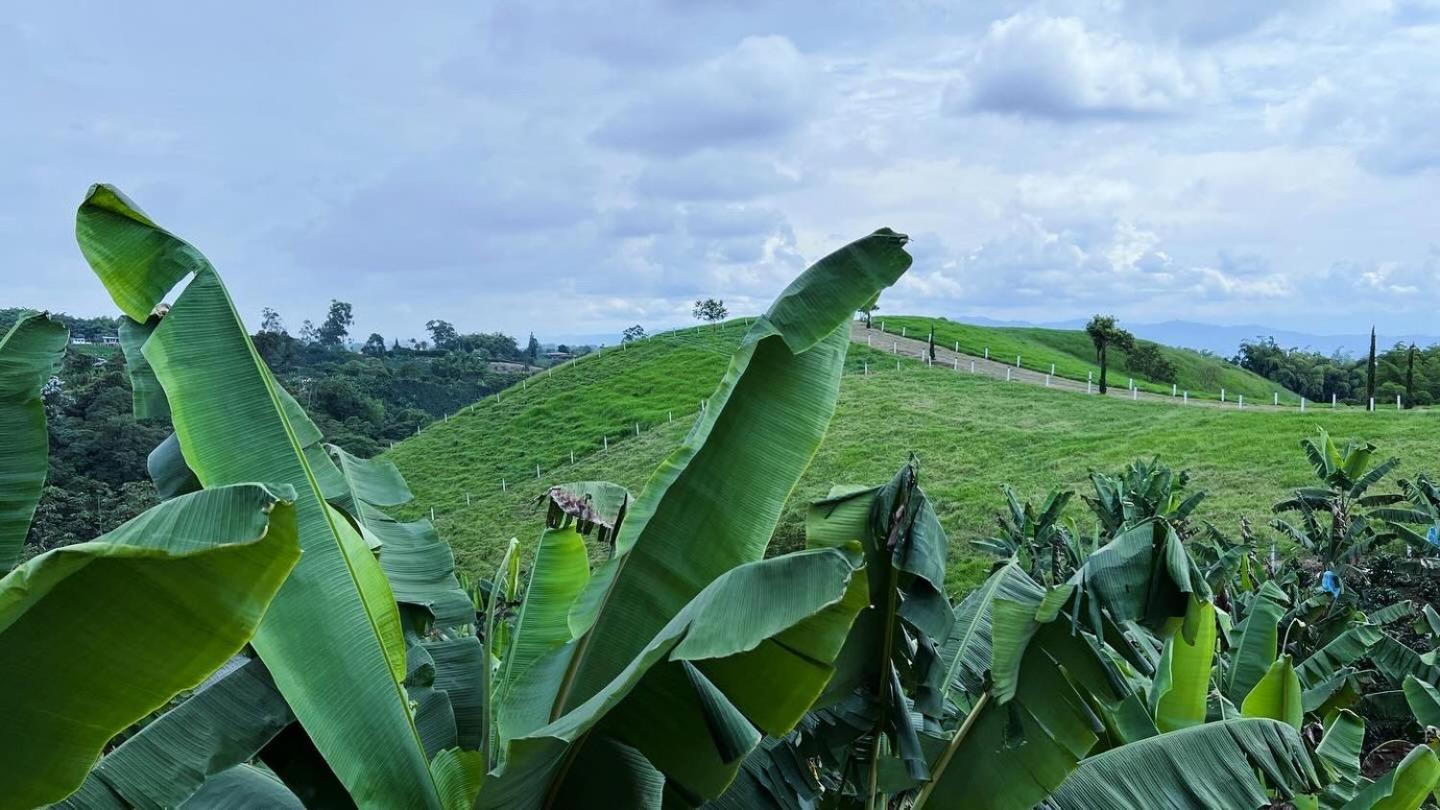 Alojamiento Villa Verde